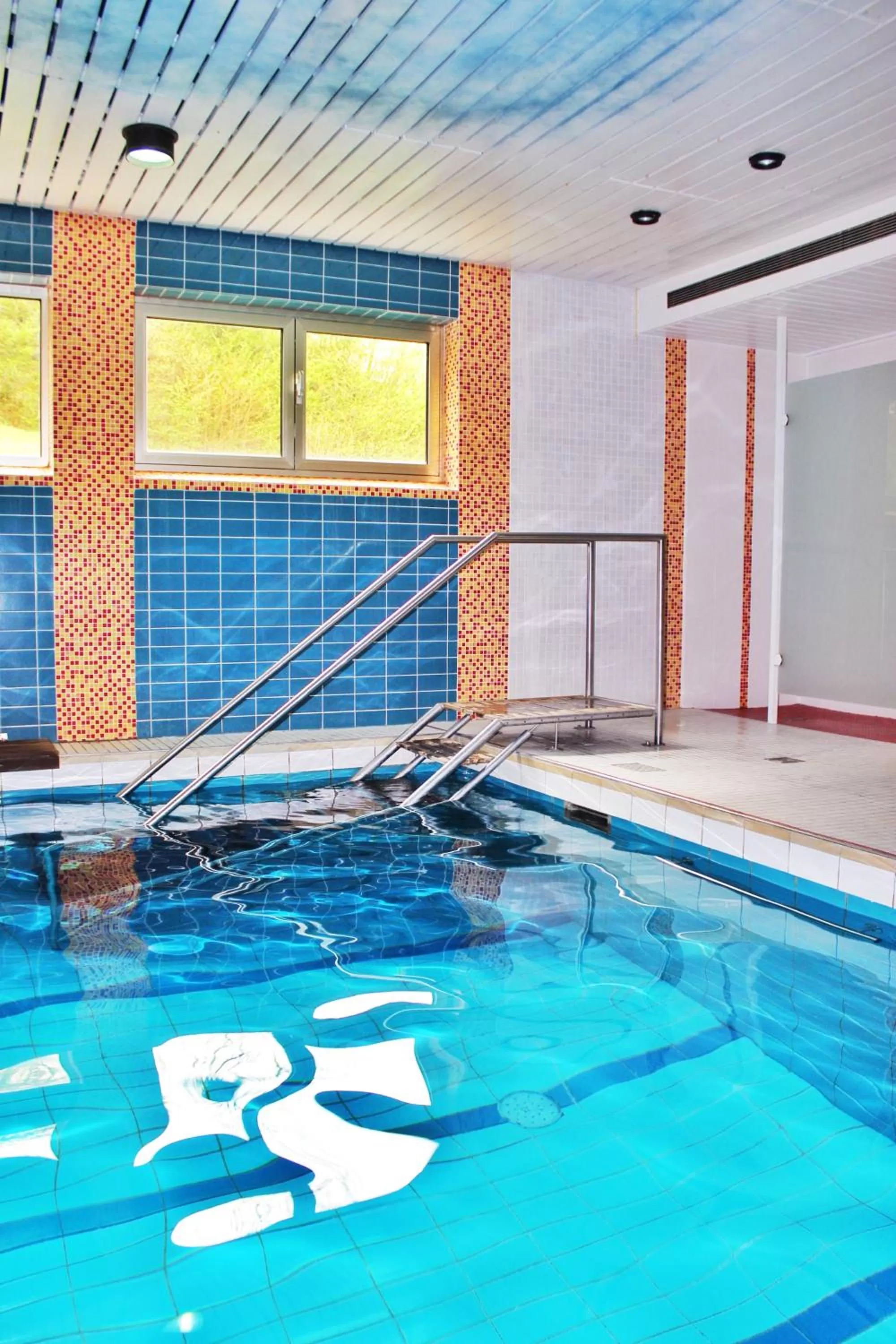 Spa and wellness centre/facilities, Swimming Pool in Hotel Ostermann