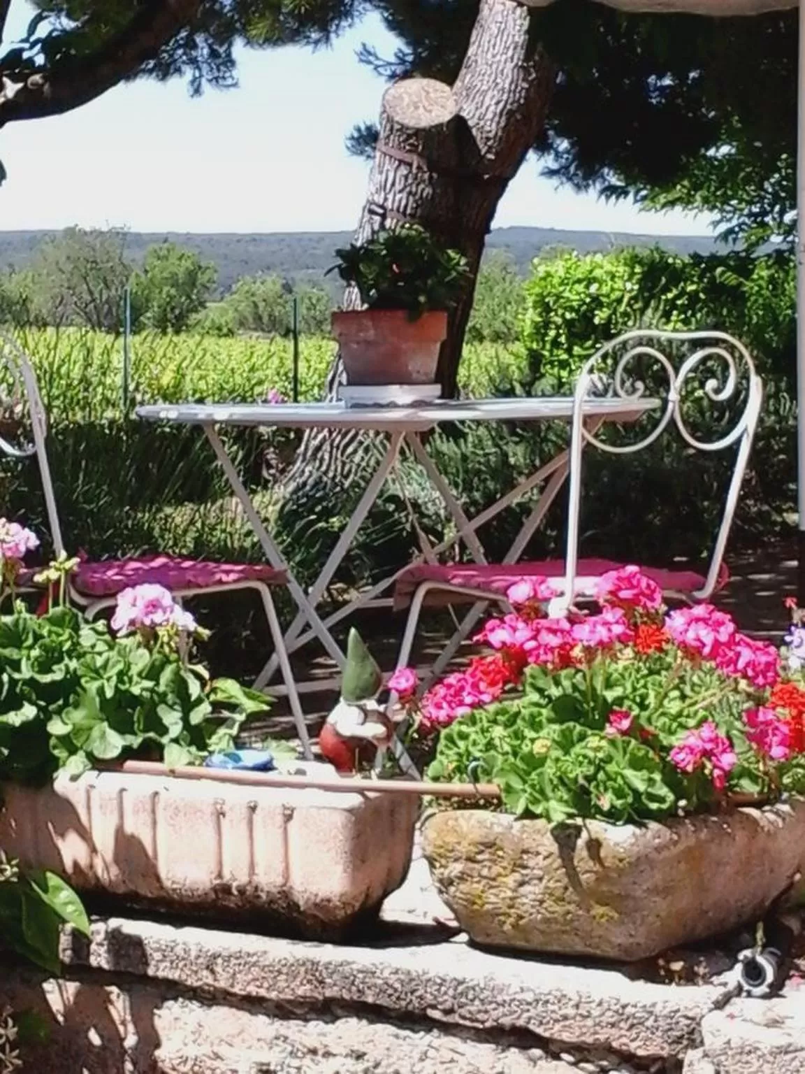 Patio, Guests in Vents d'Anges
