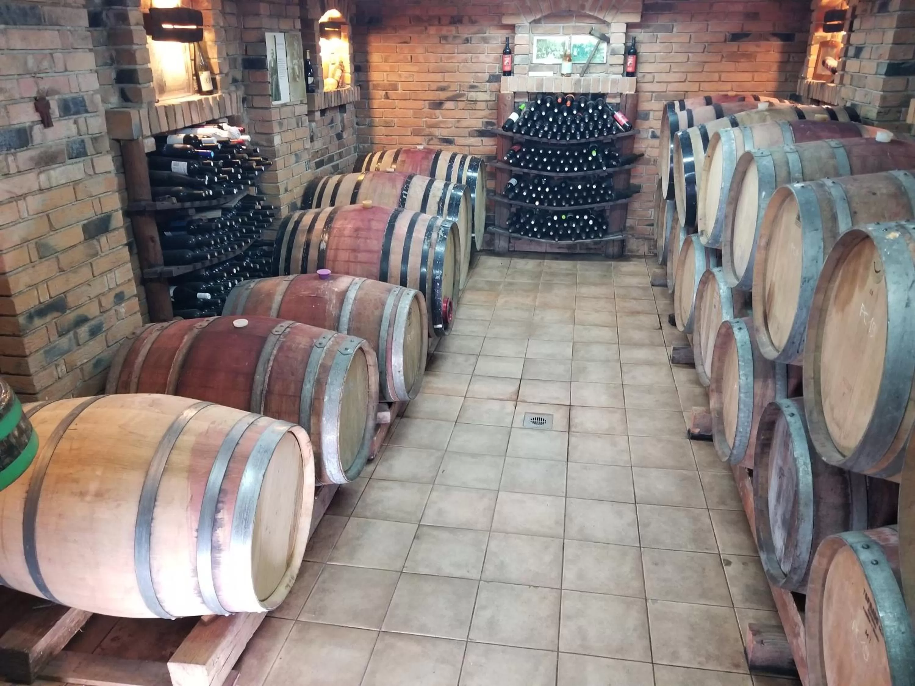 Wellness B&B Winery Sontacchi