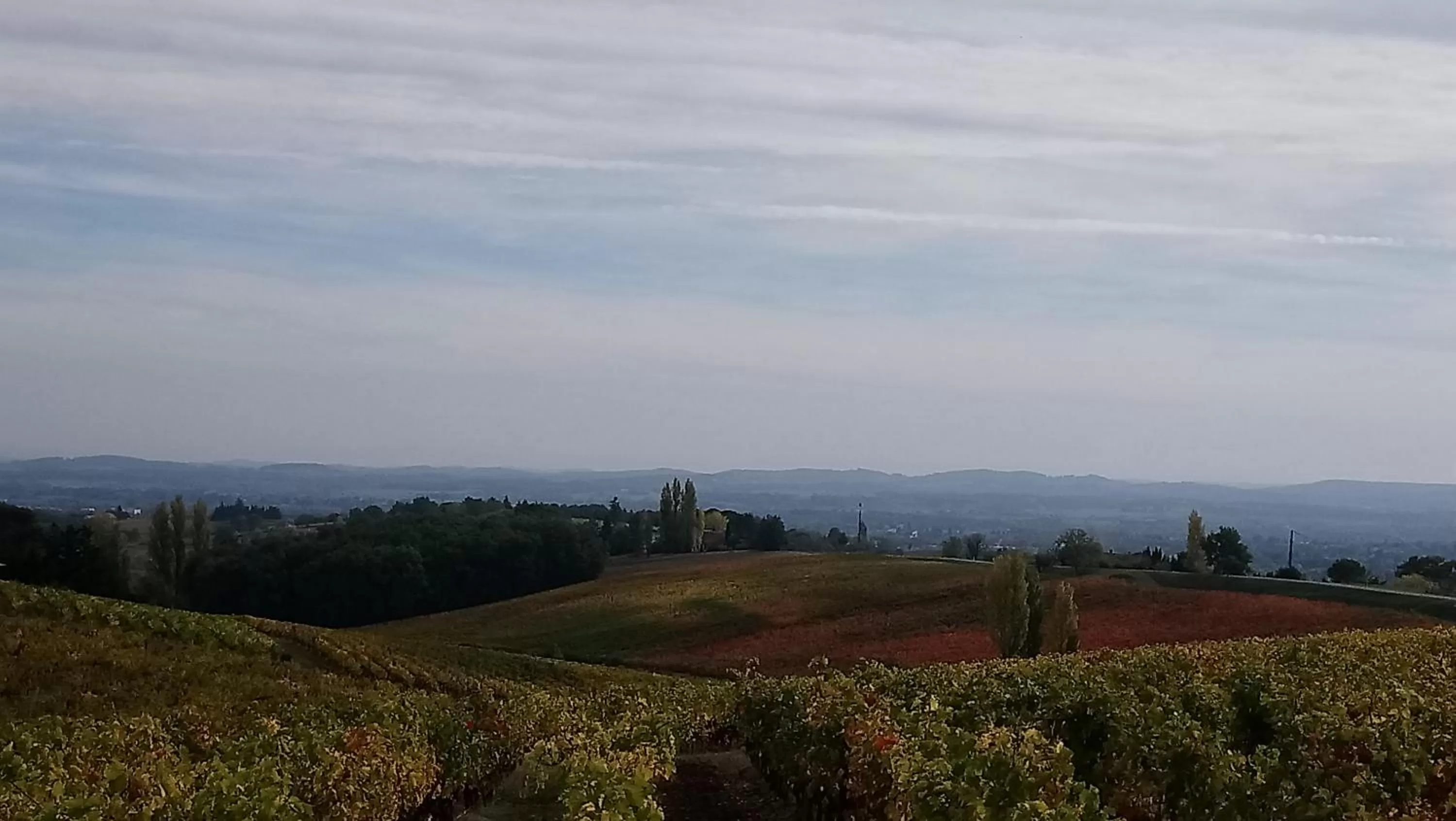 Natural landscape in Fleurs de Cosmos