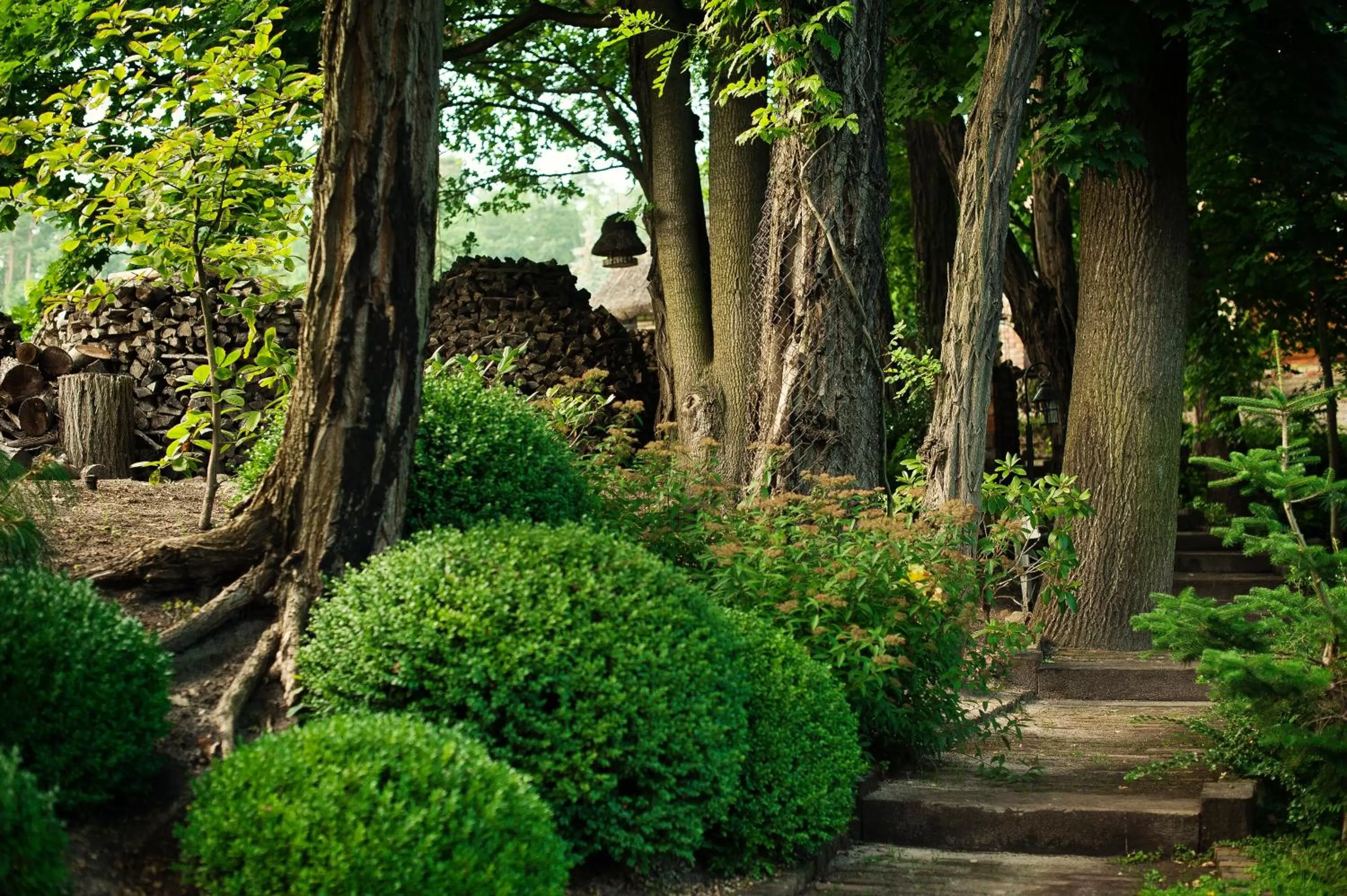 Garden in ForRest Hotel & Restaurant