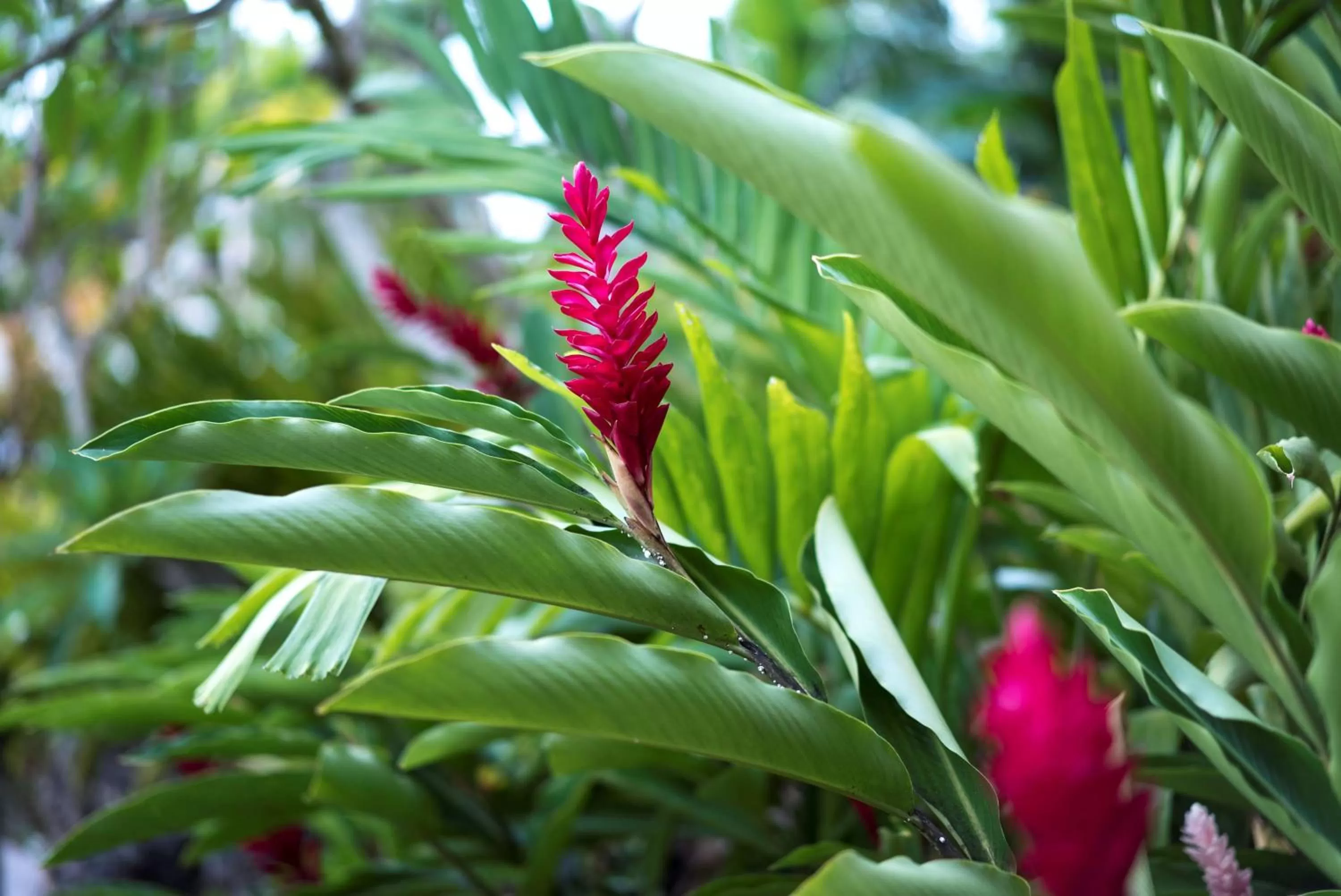 Off site in Hyatt Regency Guam