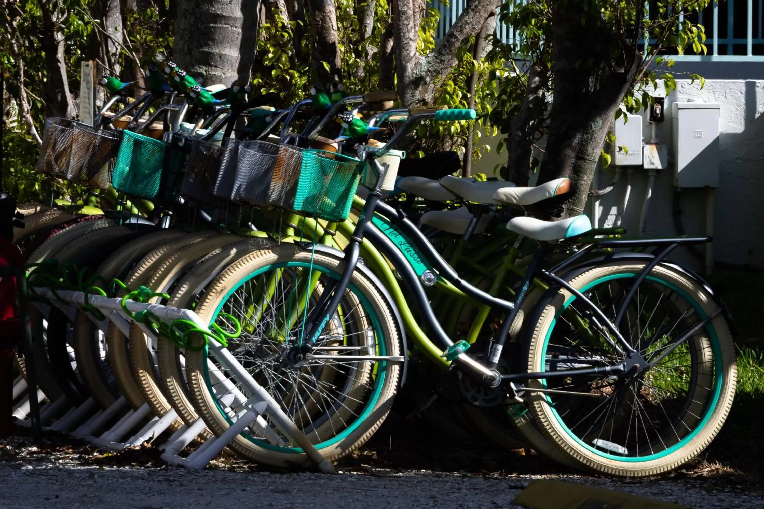 Activities in Cedar Cove Resort & Cottages