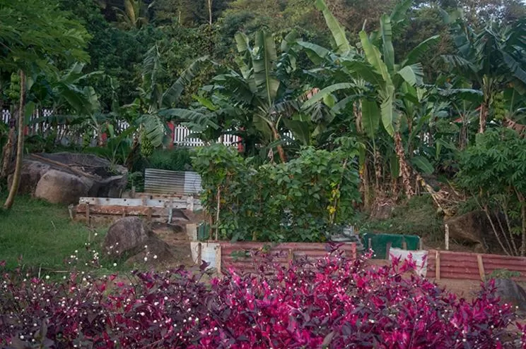 Evergreen Apartments