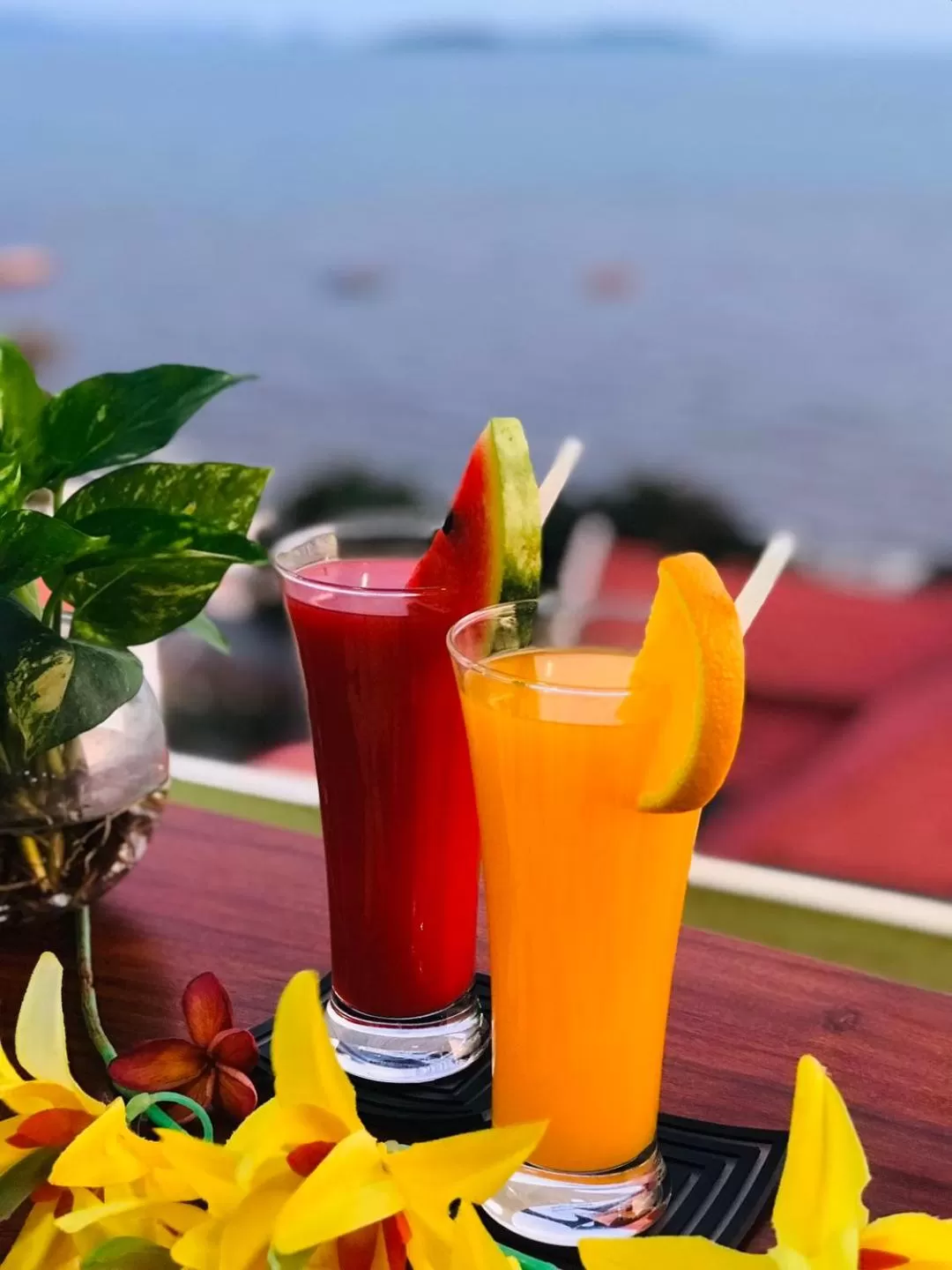 Restaurant/places to eat in Aristocrat Residence & Hotel