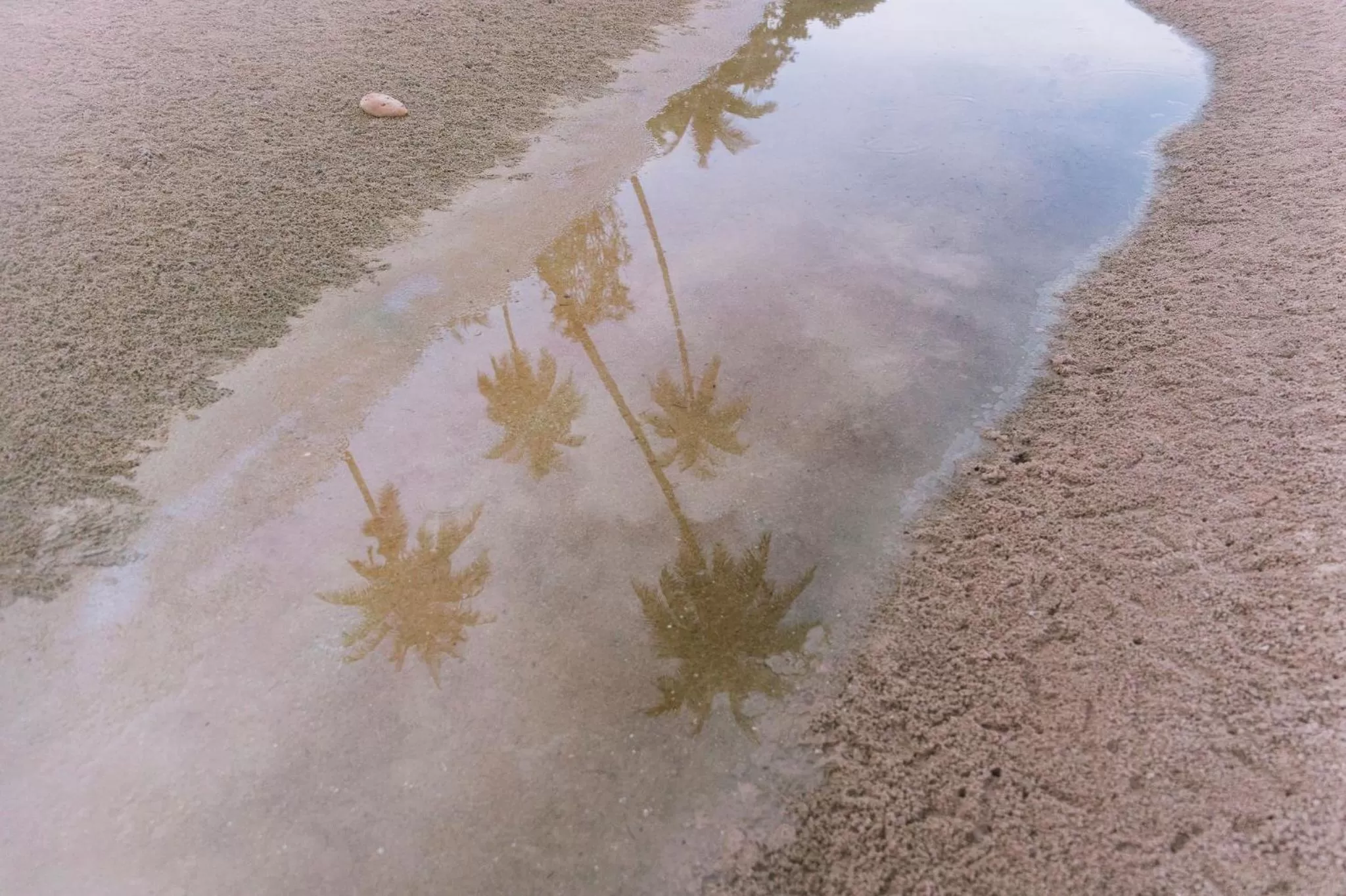 Natural landscape in Ban Saithong Beach Resort