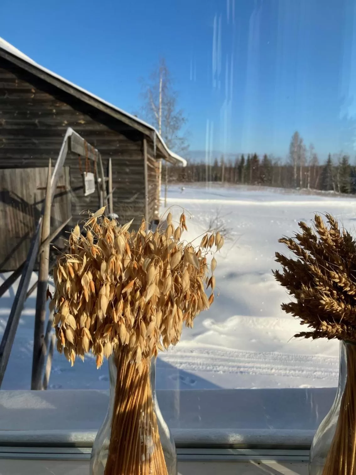Garden, Winter in Lamminmäen Juhla ja Peti