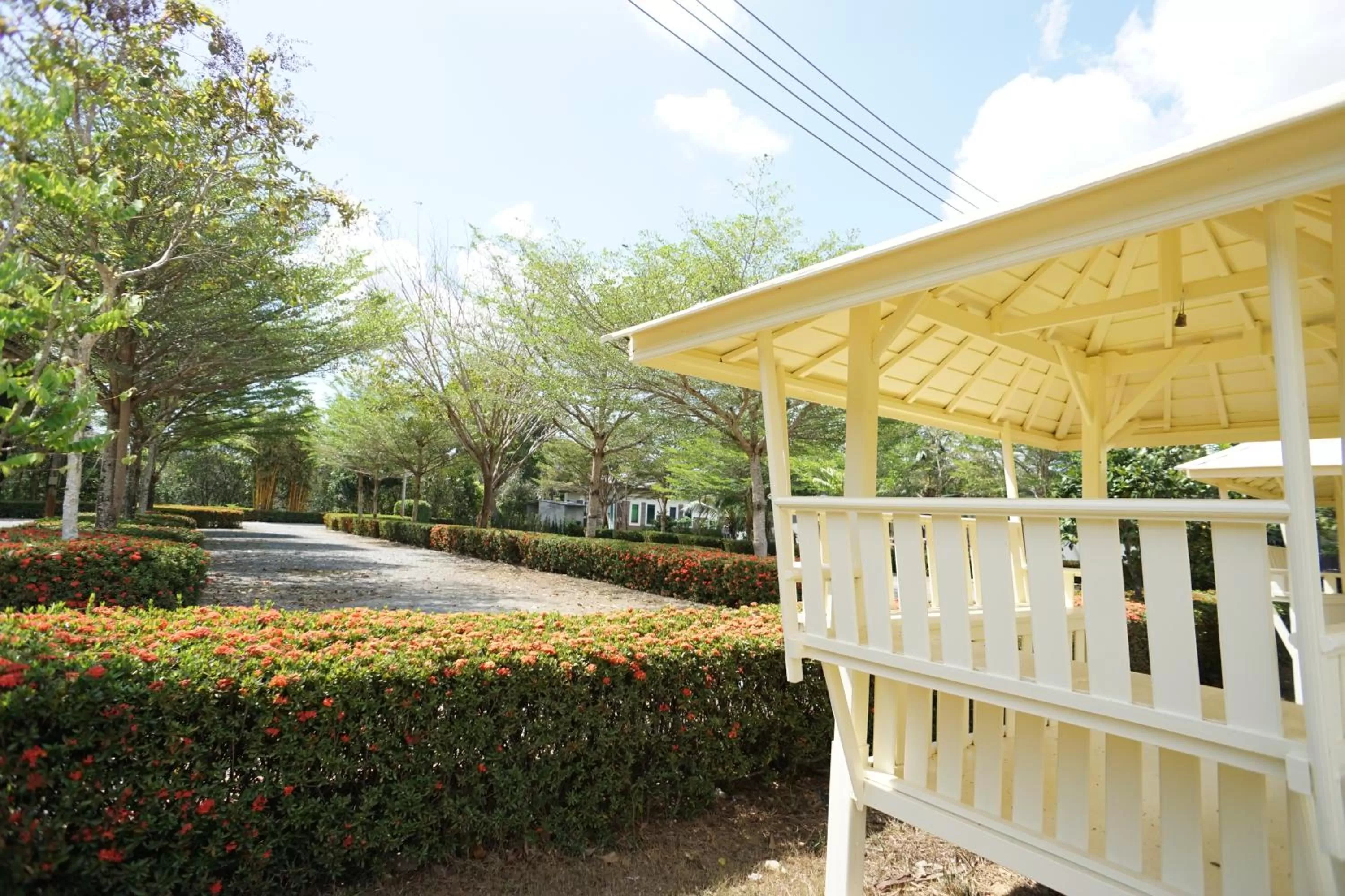 Garden in แกรนด์ ฟอเรสท์ Grand Forest