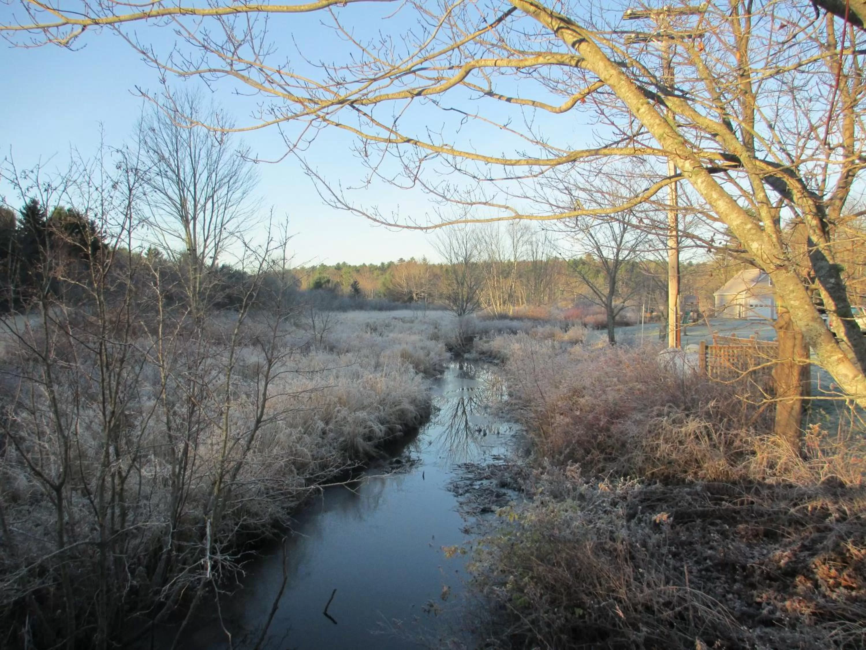 Natural landscape in Flagship Inn