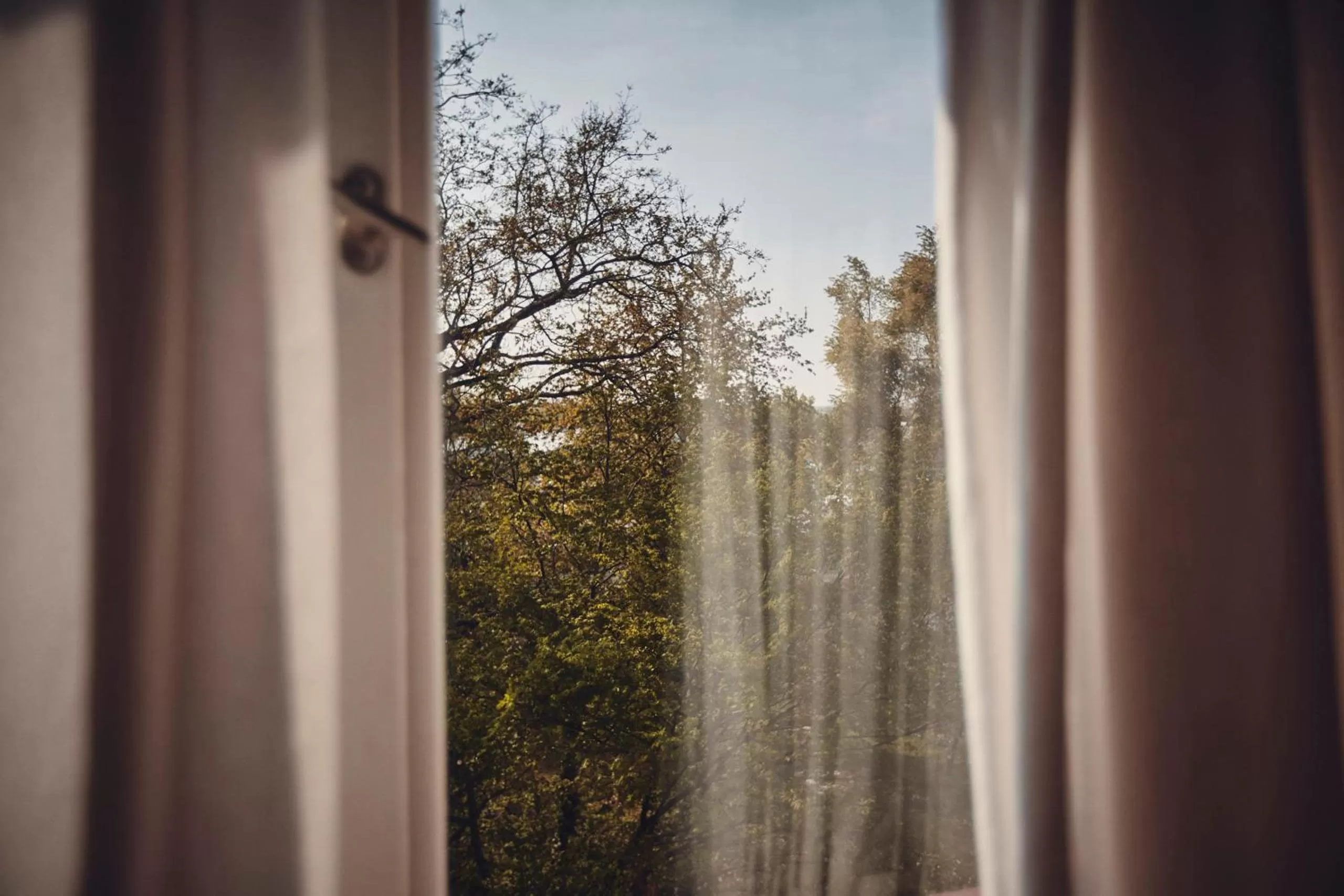 Nearby landmark in Genusshotel Alte Post