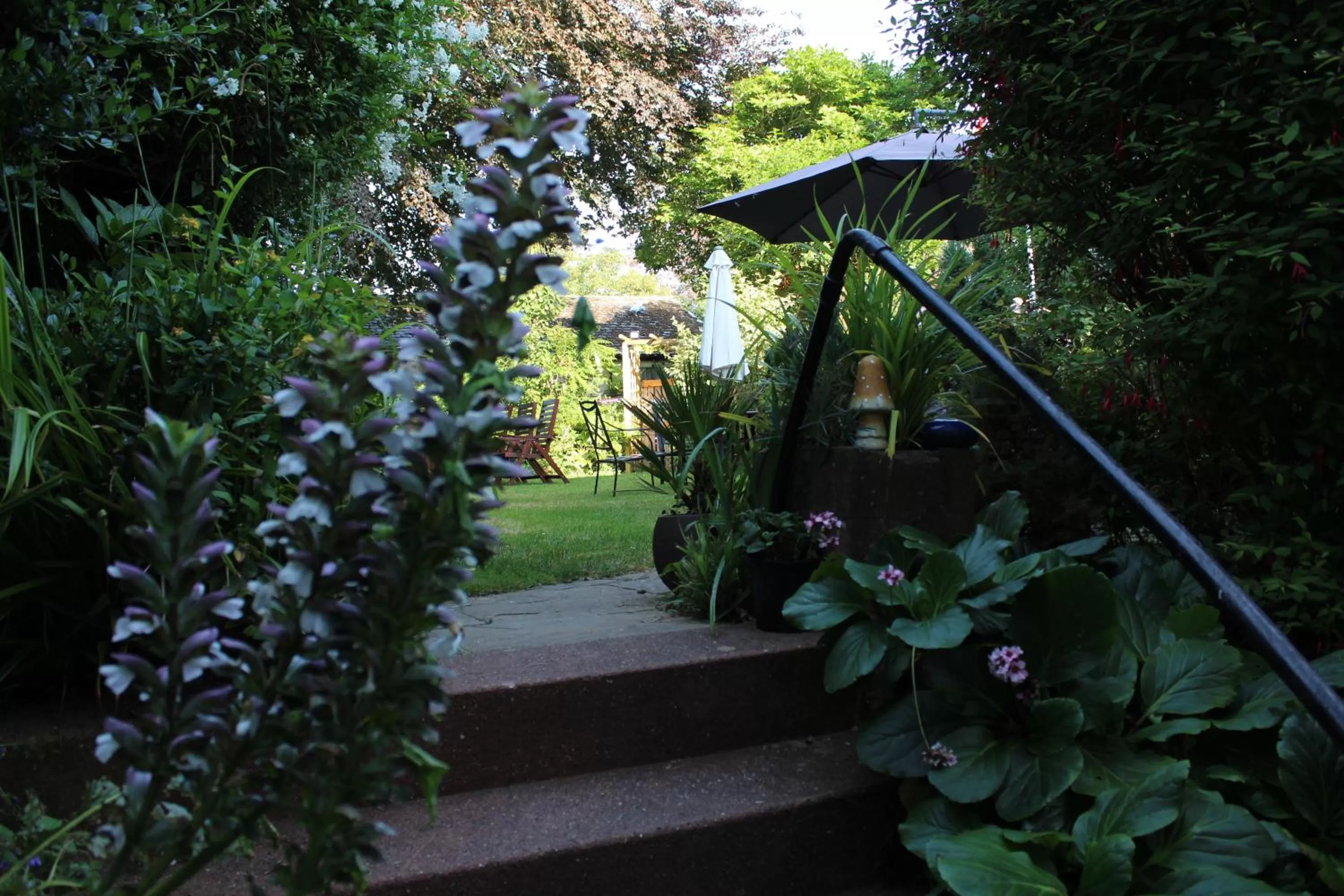 Garden in The Darnley Hotel