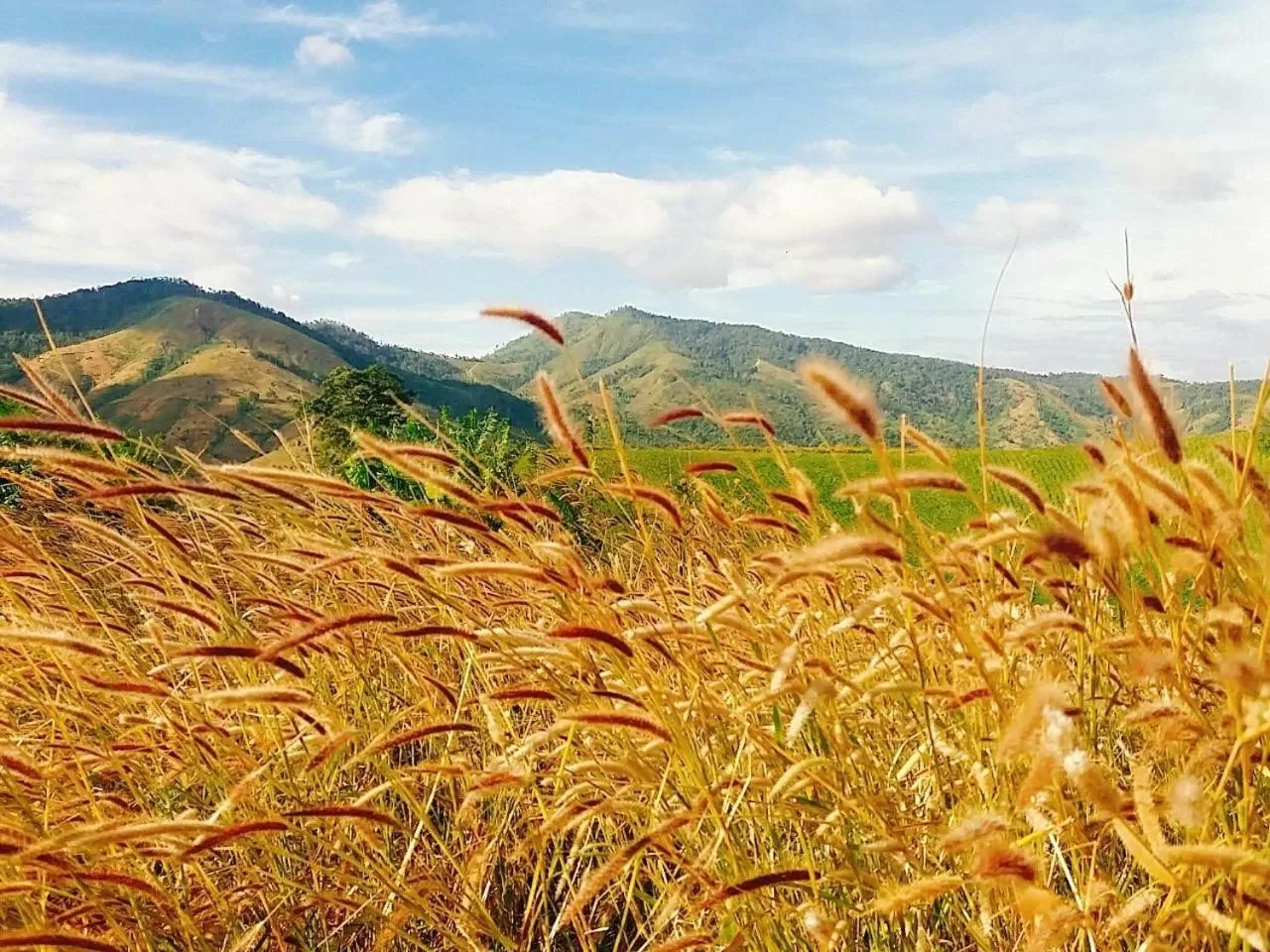 Natural landscape in Pleiku & Em Hotel by Gia Lai Tourist