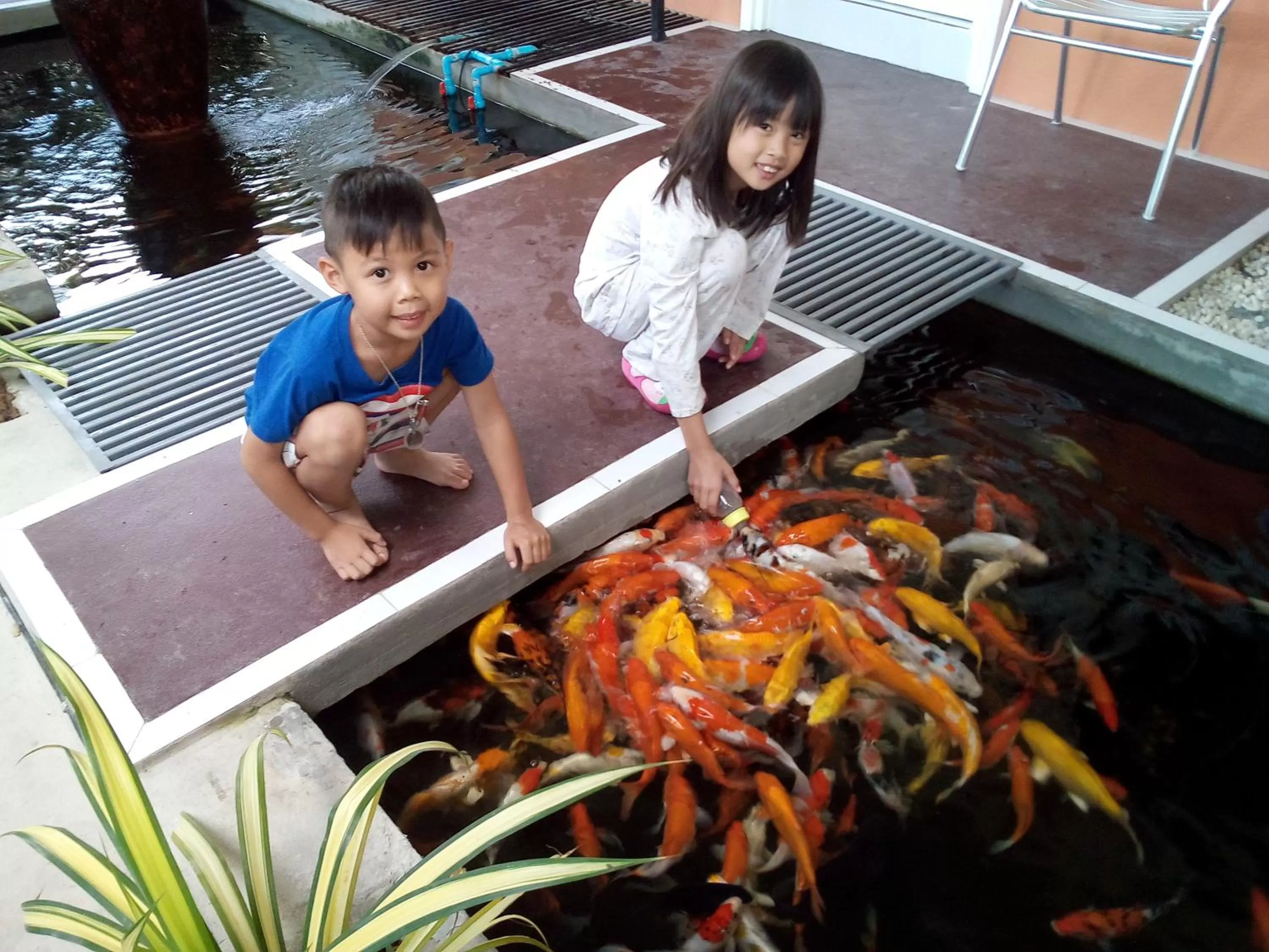 Balcony/Terrace, Children in Fancy Carp Resort
