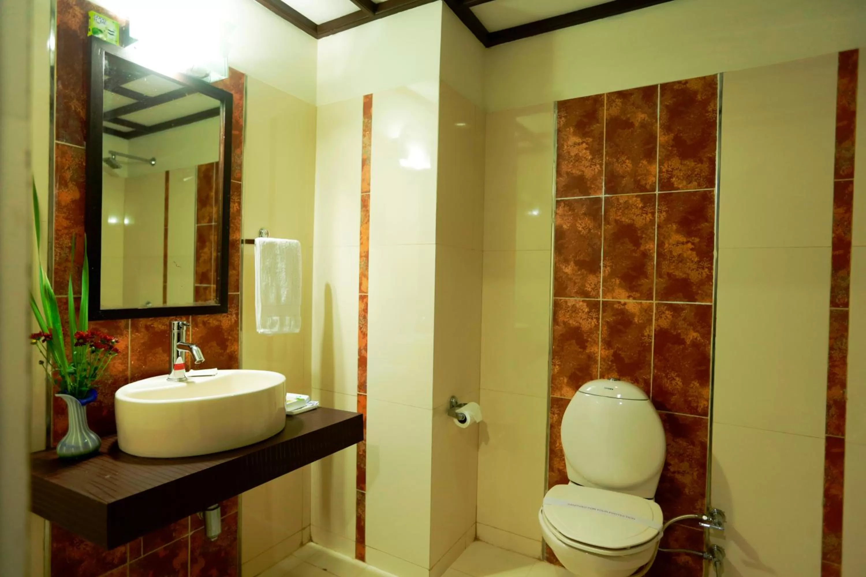 Toilet, Bathroom in Snow Valley Resorts & Spa Manali