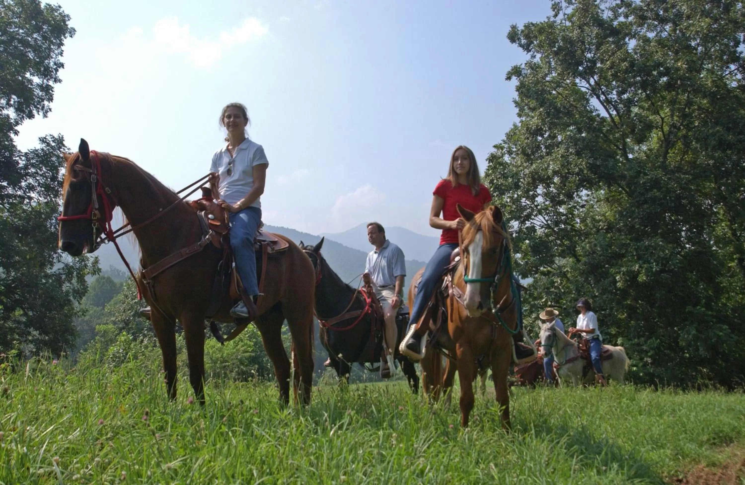 Horse-riding in Brasstown Valley Resort & Spa