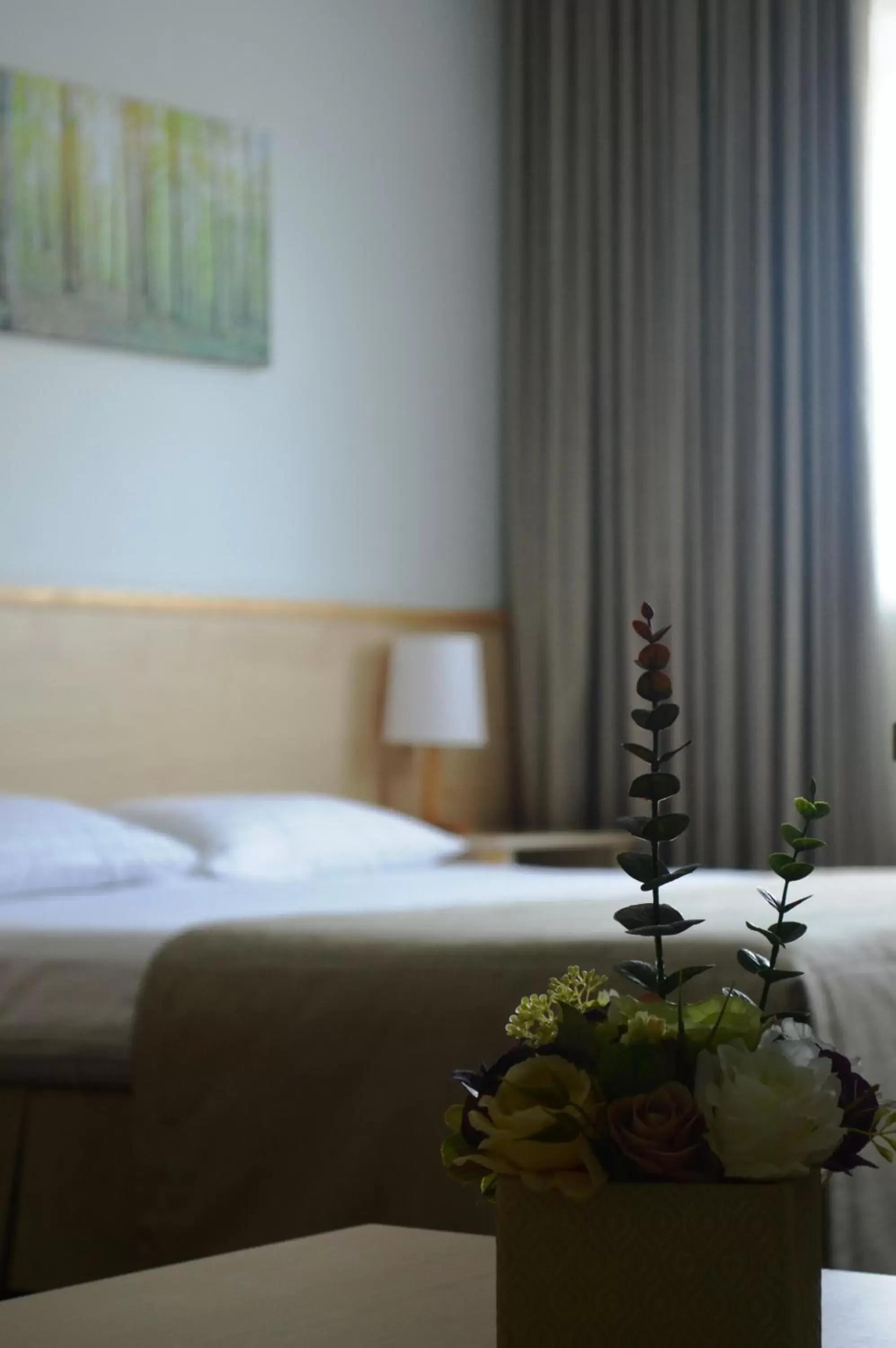 Business Friendly Room - single occupancy in Green Park Hotel Klaipeda Business Friendly Room - single occupancy in Green Park Hotel Klaipeda