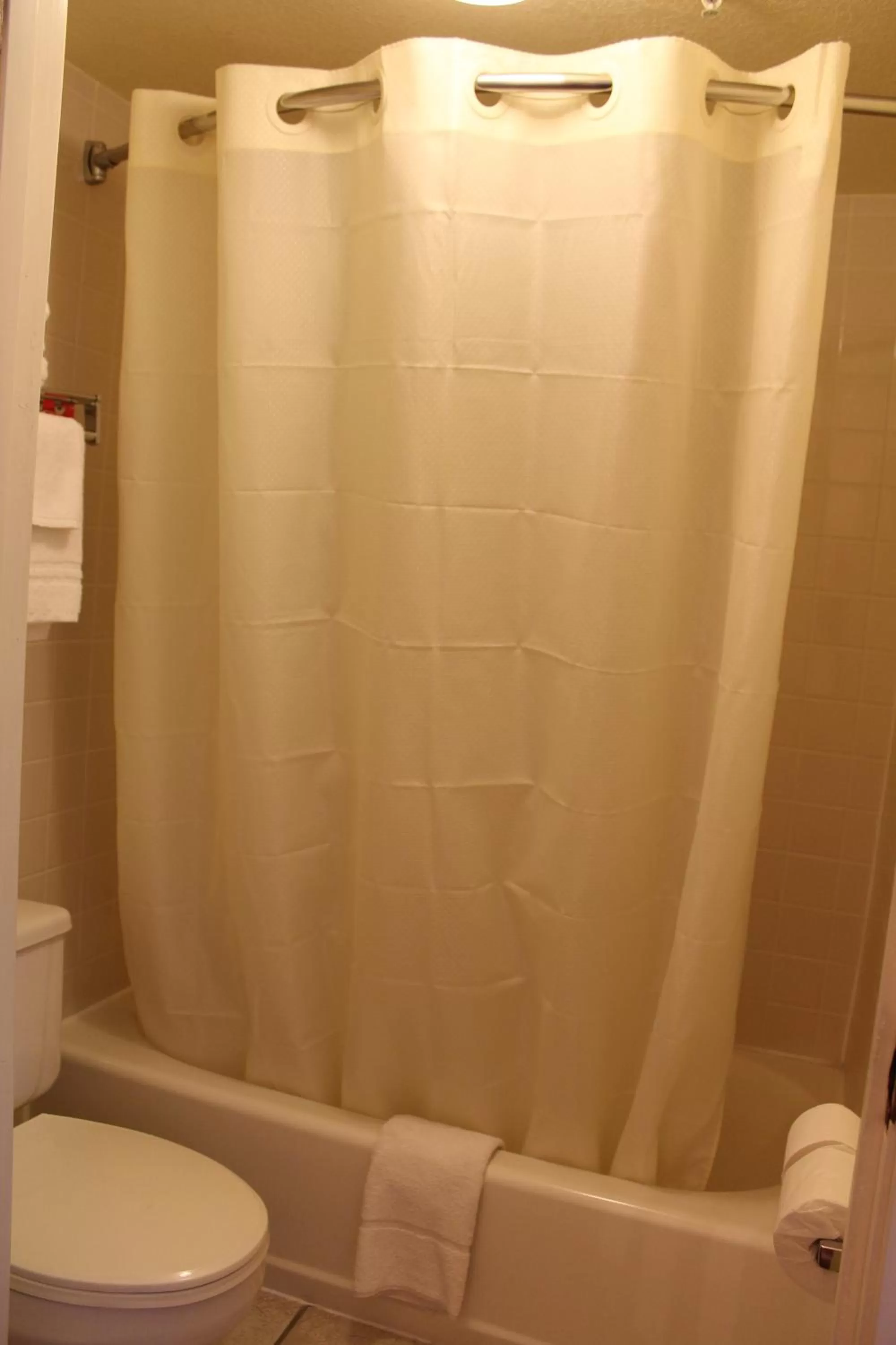 King Suite - Non-Smoking in Econo Lodge Inn & Suites Wine Country