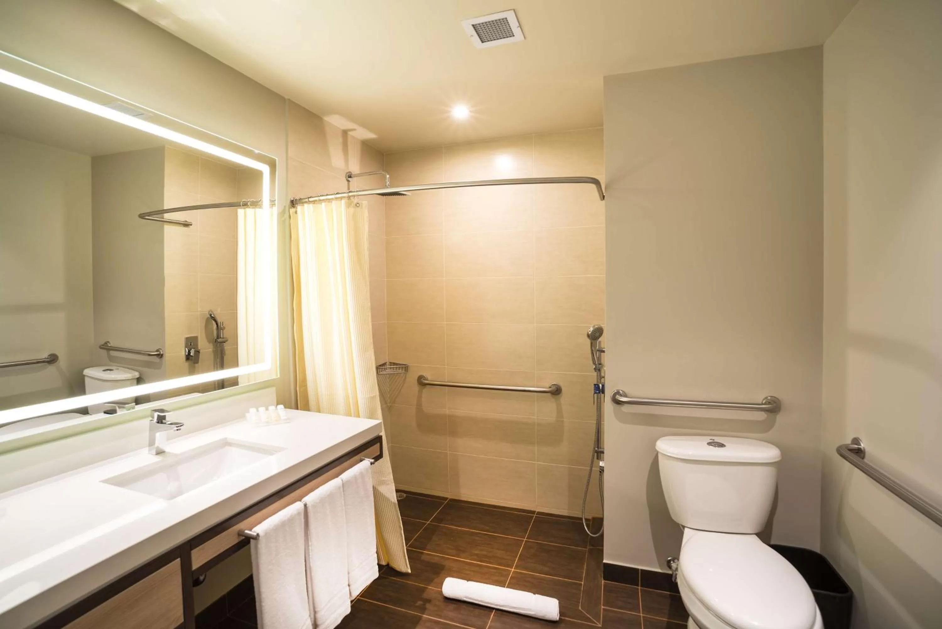 Bathroom in Hilton Garden Inn Bogota Airport