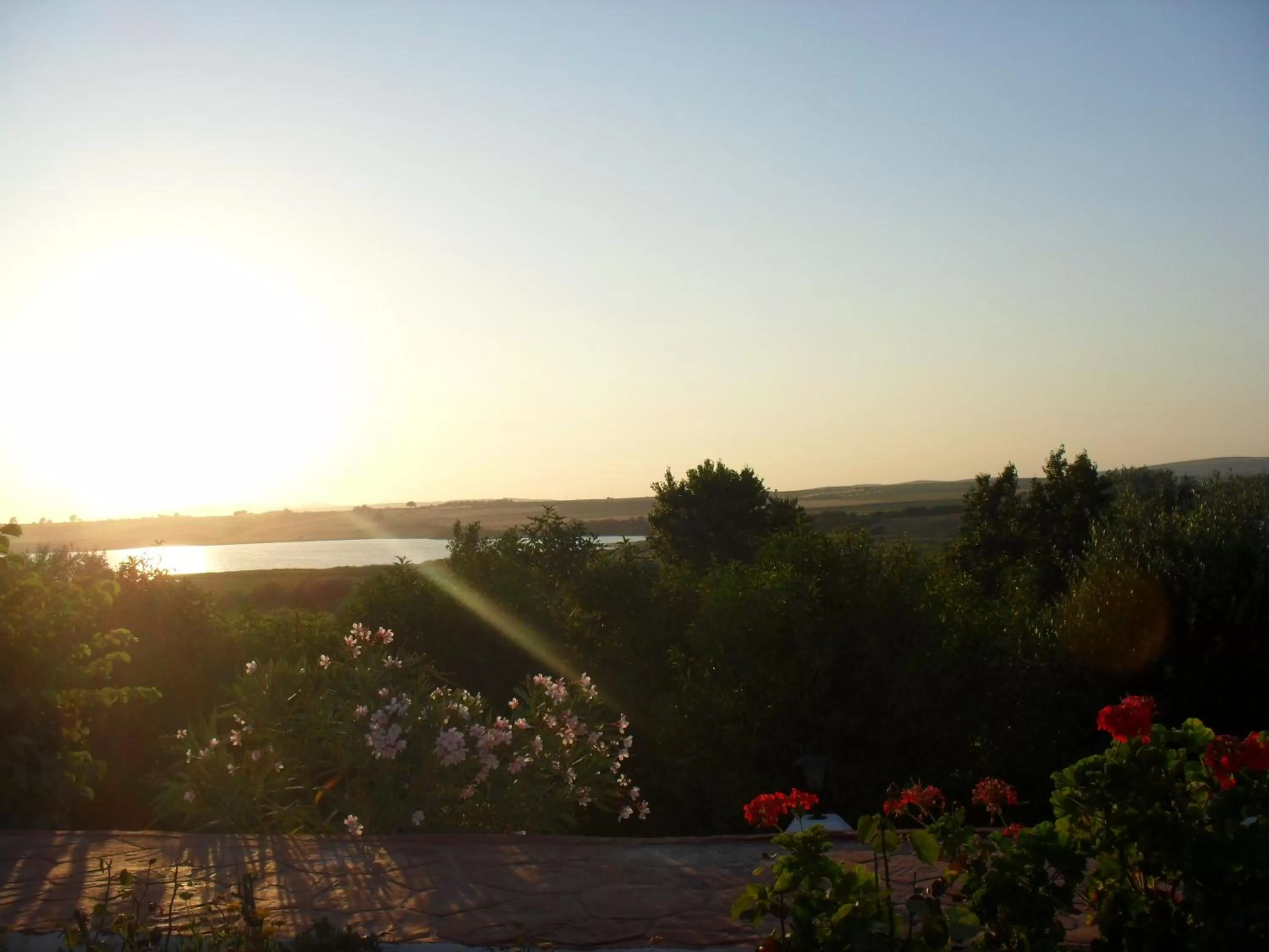 Area and facilities in Hacienda El Santiscal