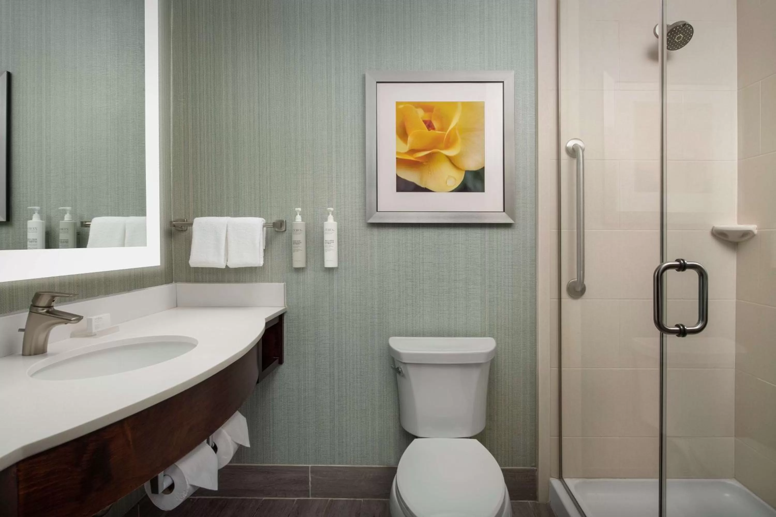 Toilet in Hilton Garden Inn Murfreesboro