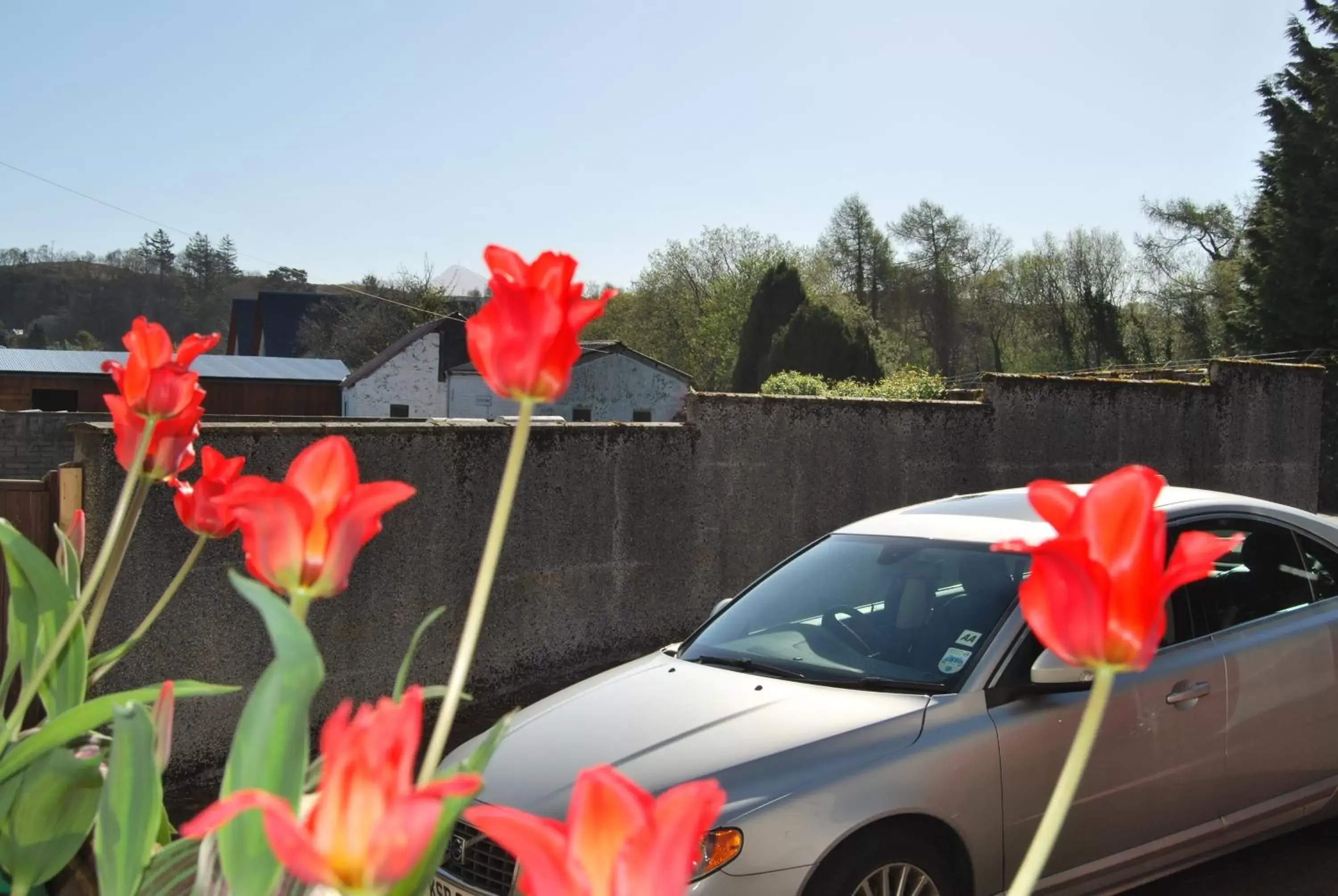 Twin Room - Ground Floor in Falls of Lora Hotel Twin Room - Ground Floor in Falls of Lora Hotel