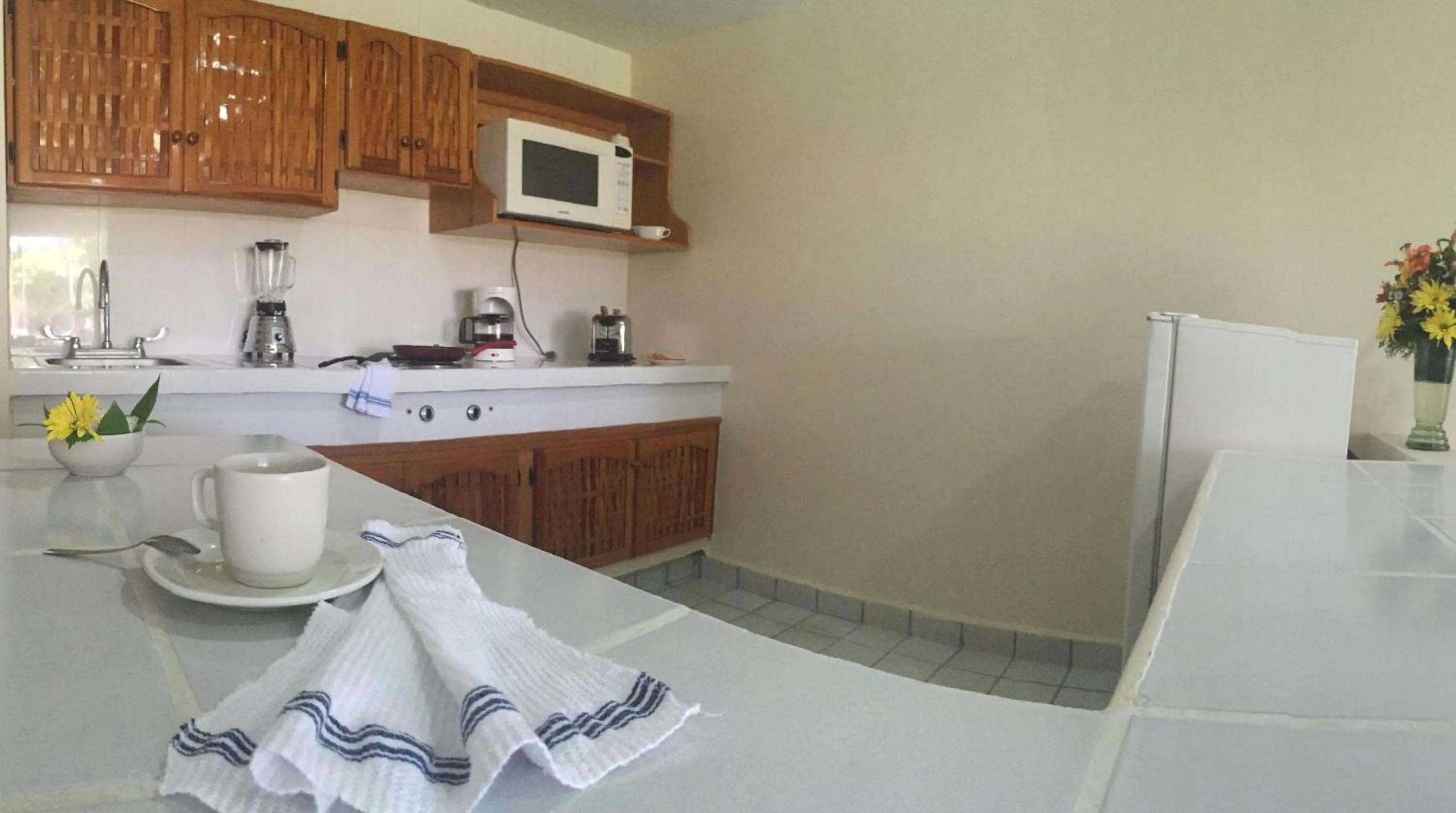 Kitchen or kitchenette in Coral Ixtapa