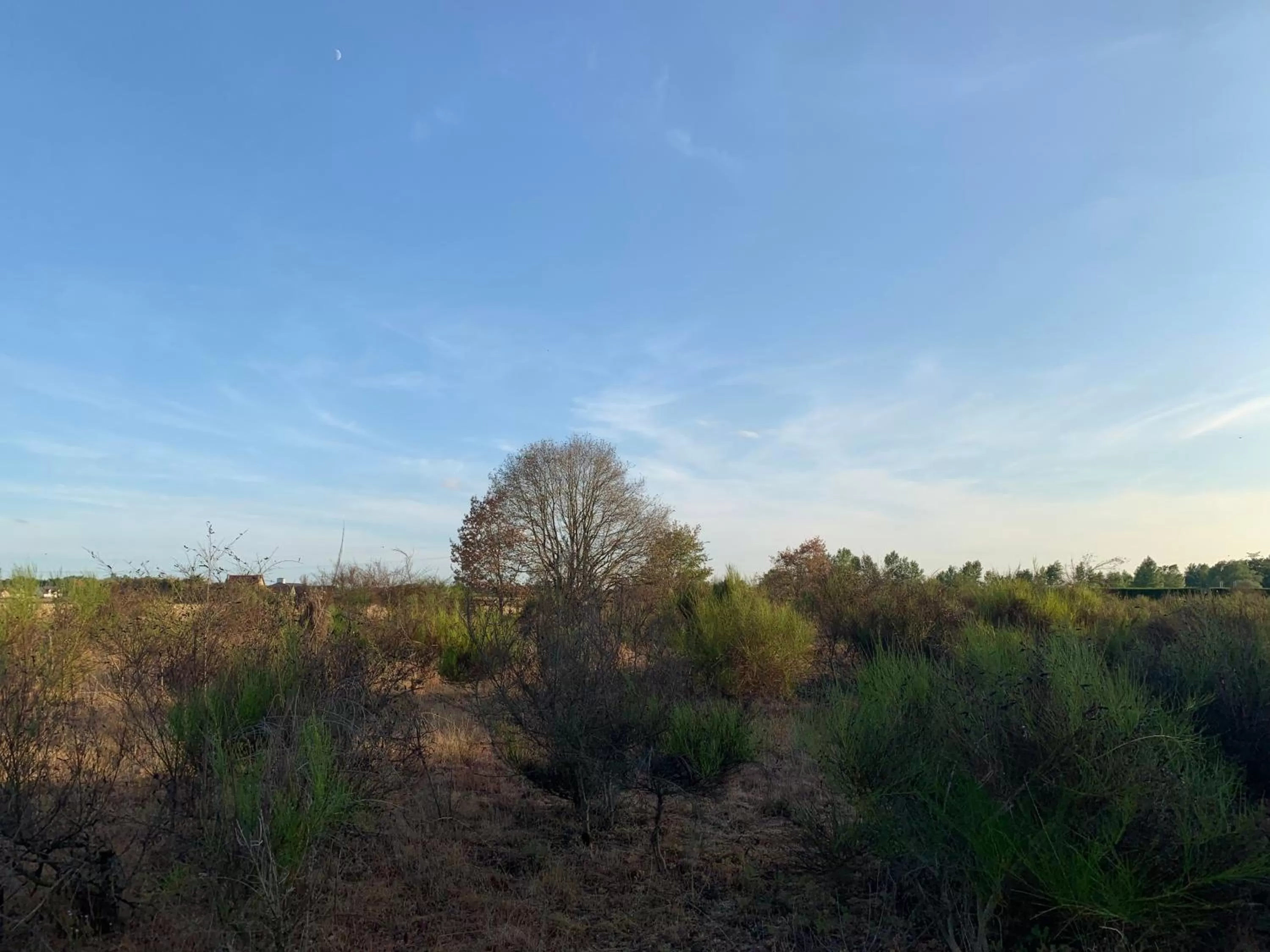 Astrotel Romorantin-Lanthenay Soirée étape