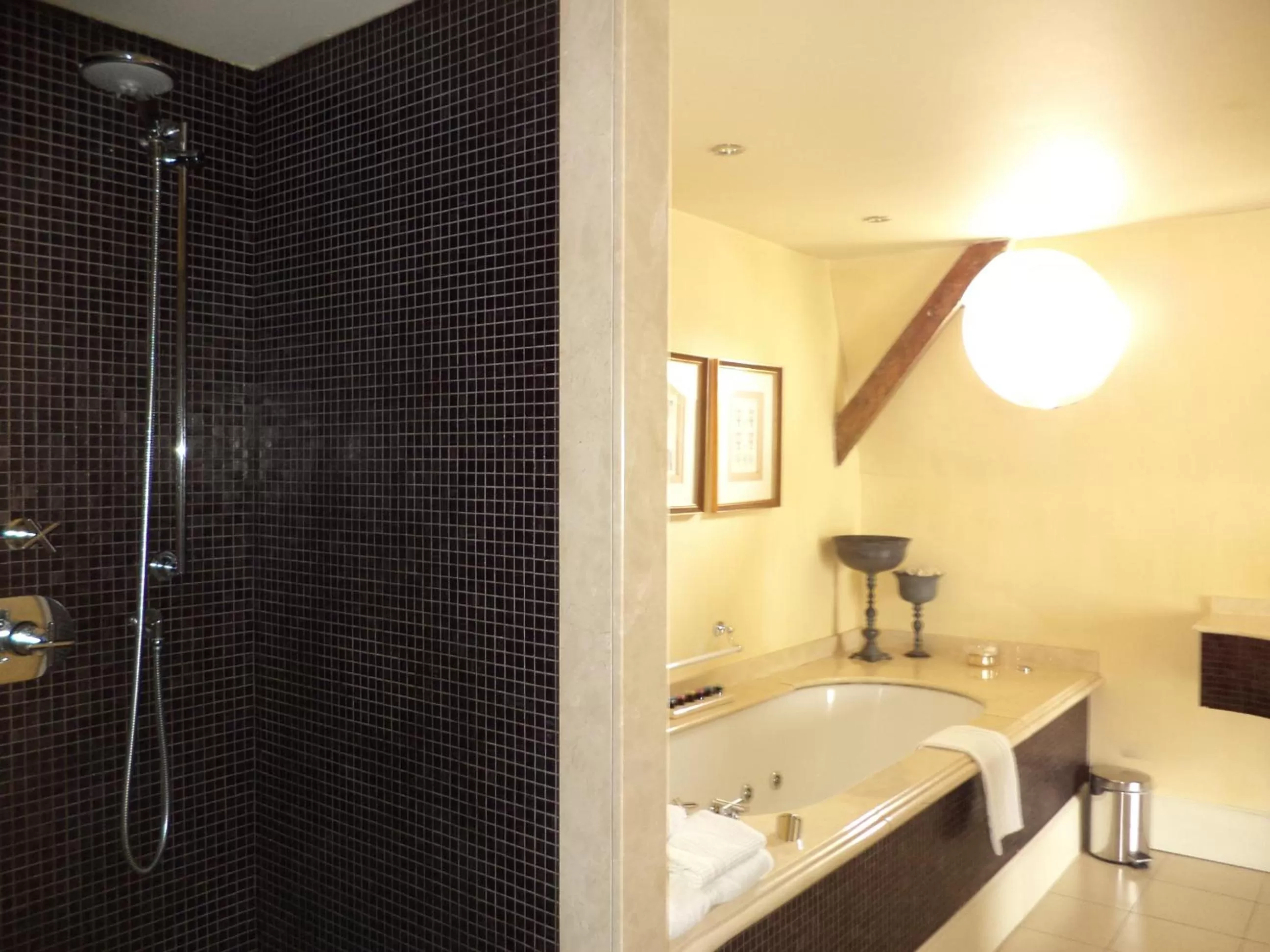 Shower in Hotel Recour