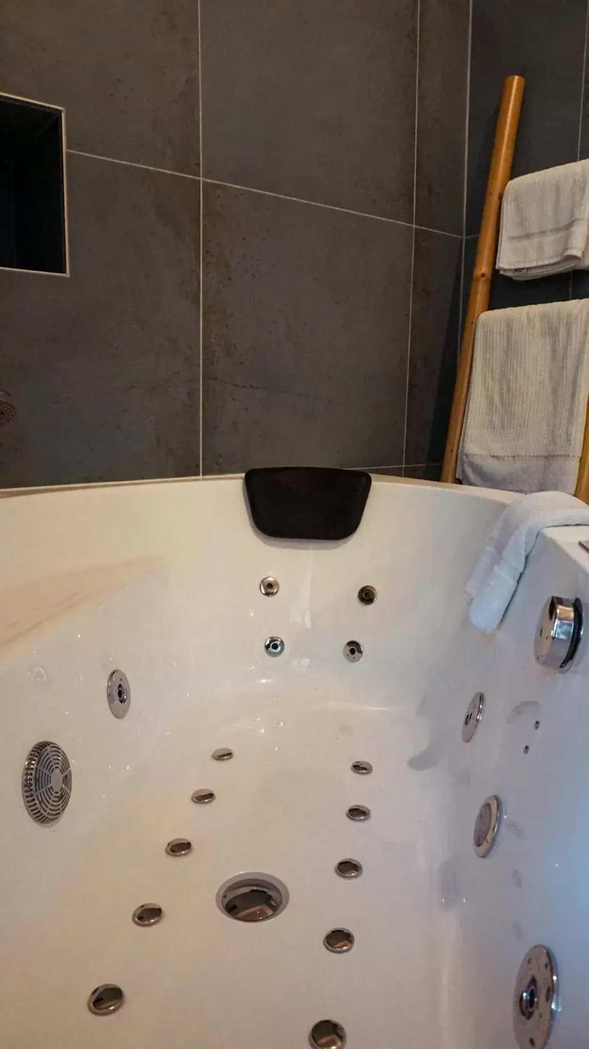 Studio with Spa Bath in Hôtel la Fête en Provence Studio with Spa Bath in Hôtel la Fête en Provence