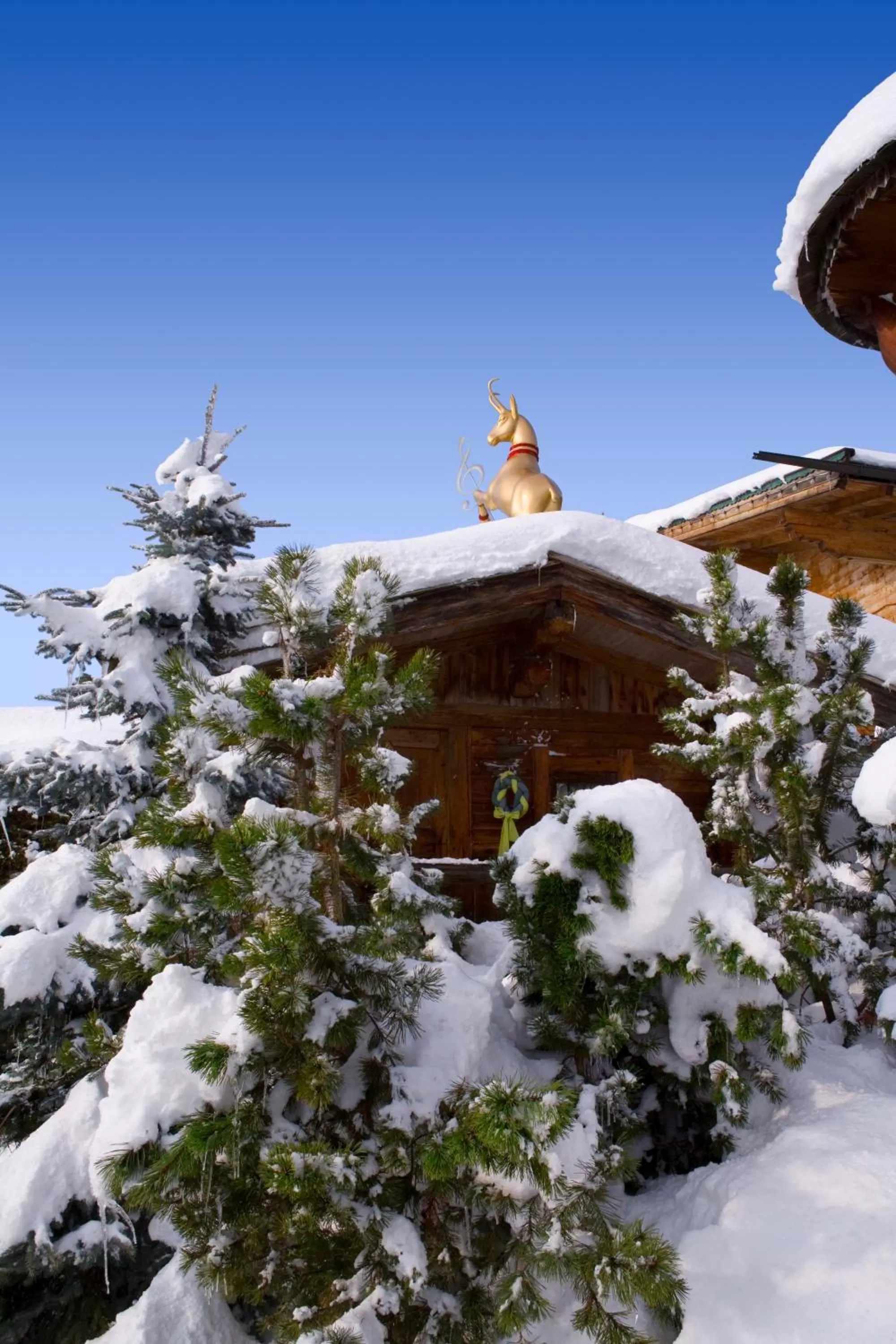 Other in Rosis Sonnbergstuben