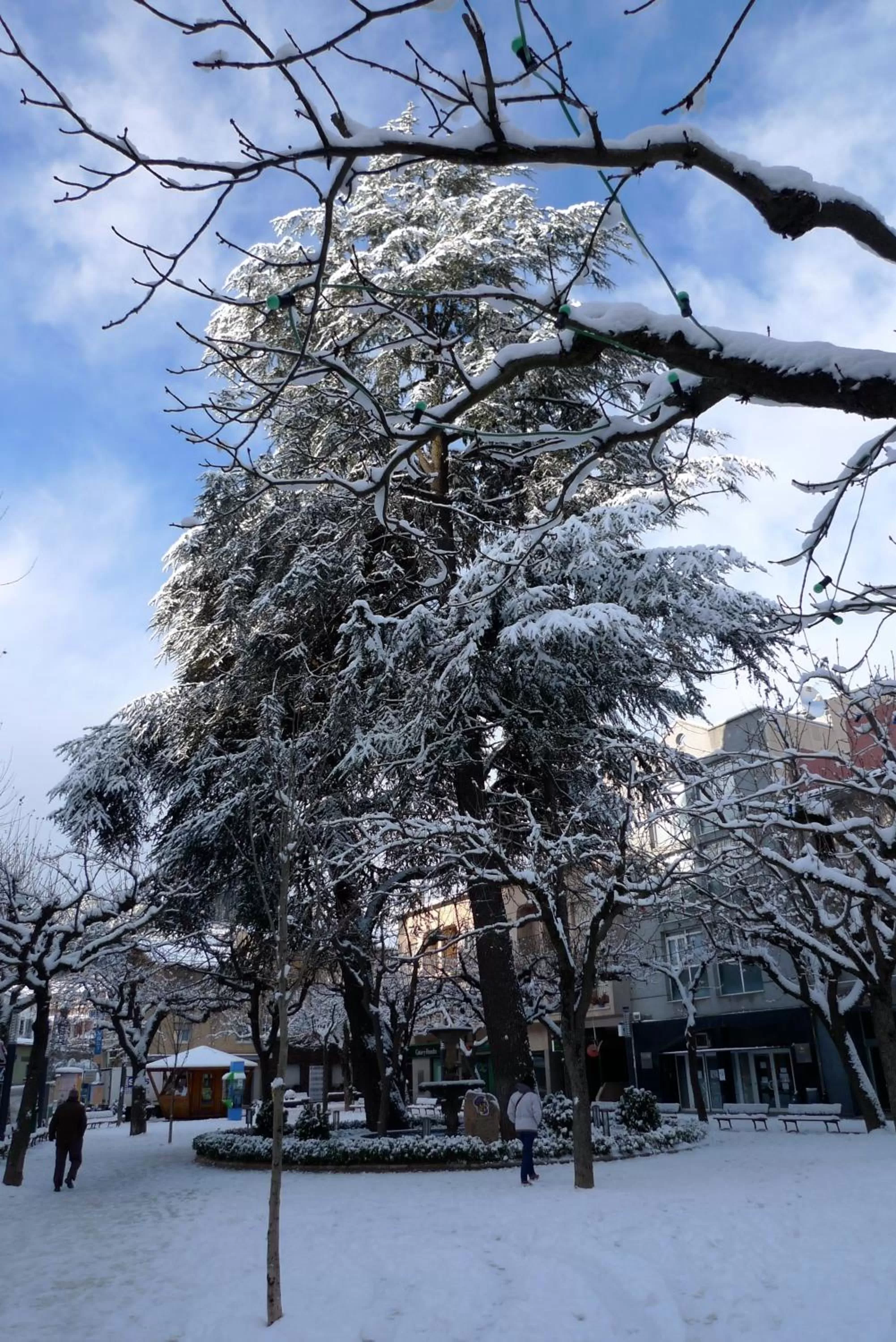 Nearby landmark in Hotel Ripoll