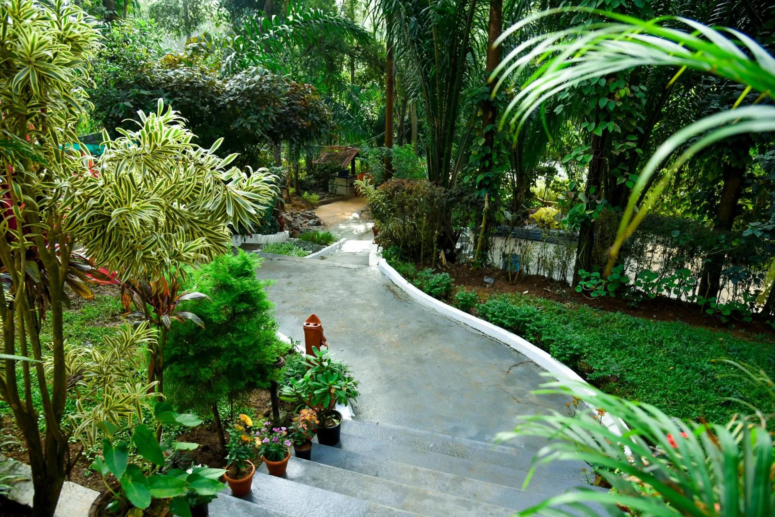 Natural landscape, Garden in The Spectrum Resort, Chikmagalur