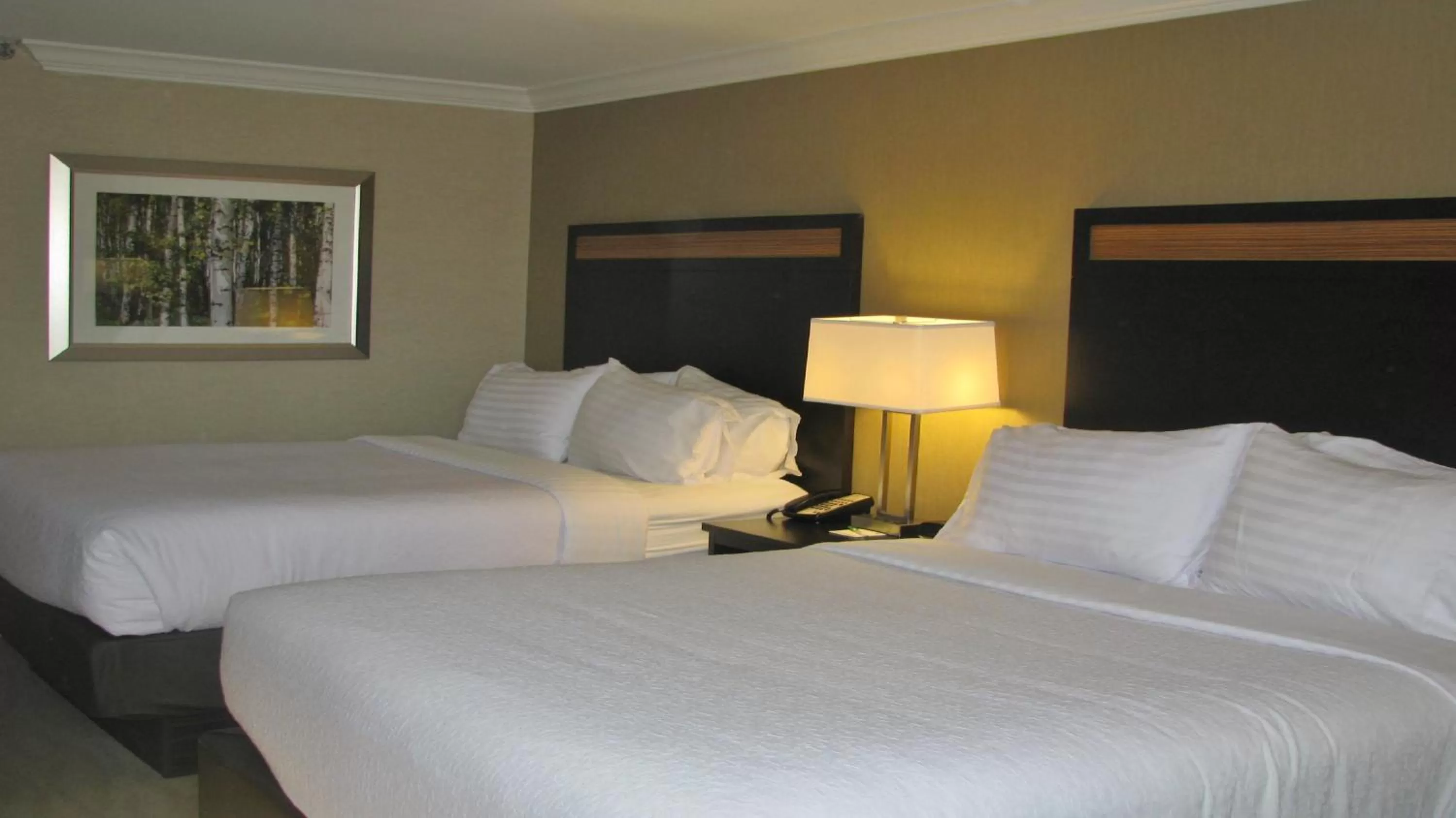 Photo of the whole room, Bed in Doubletree By Hilton Concord Downtown