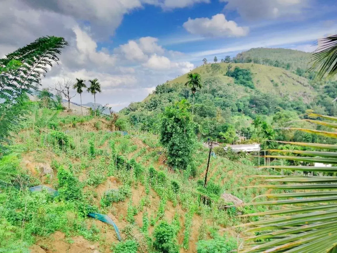 Saddle Cottage Saddle Cottage