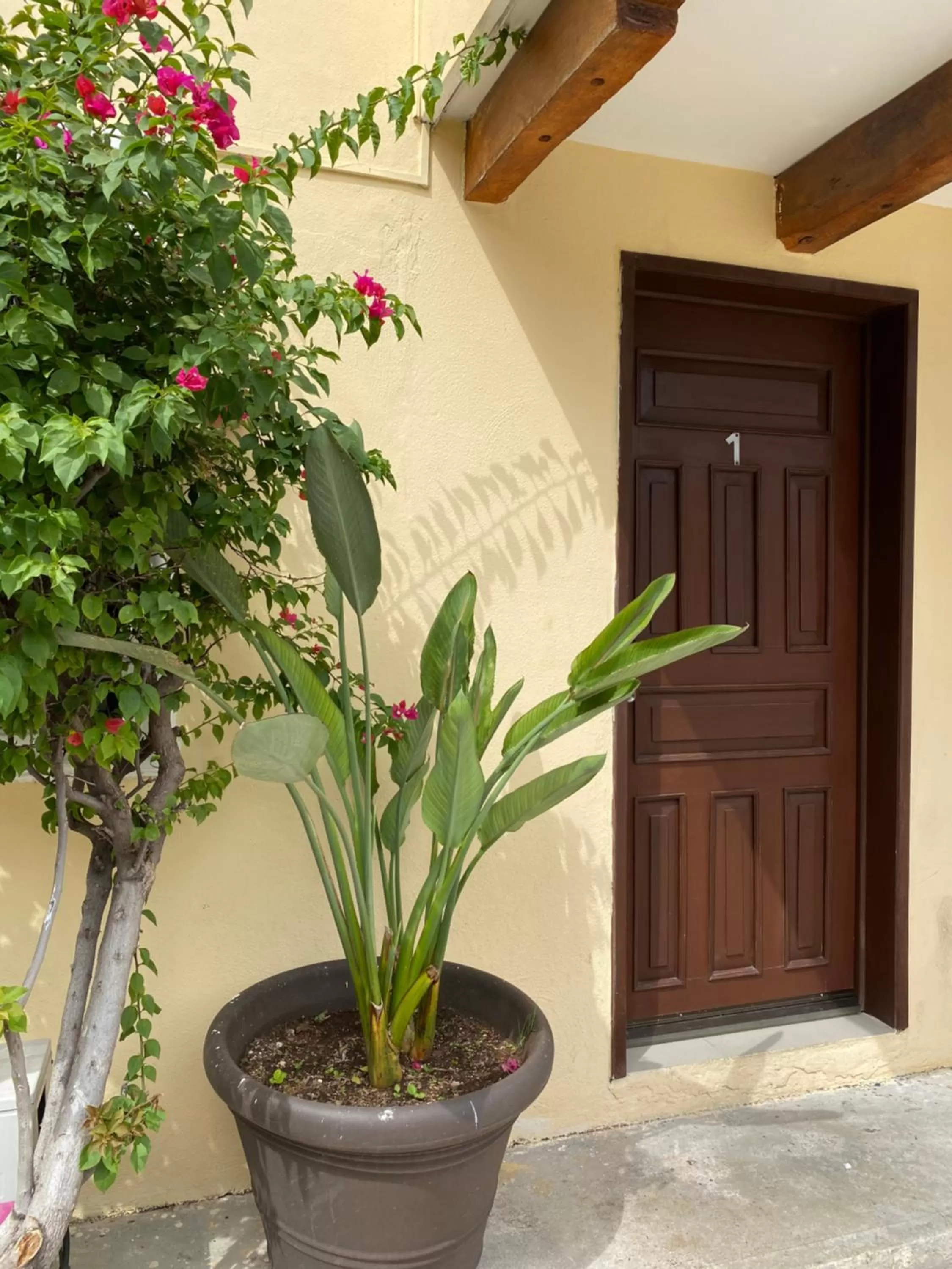 Facade/entrance in Hotel El Campanario Playa del Carmen