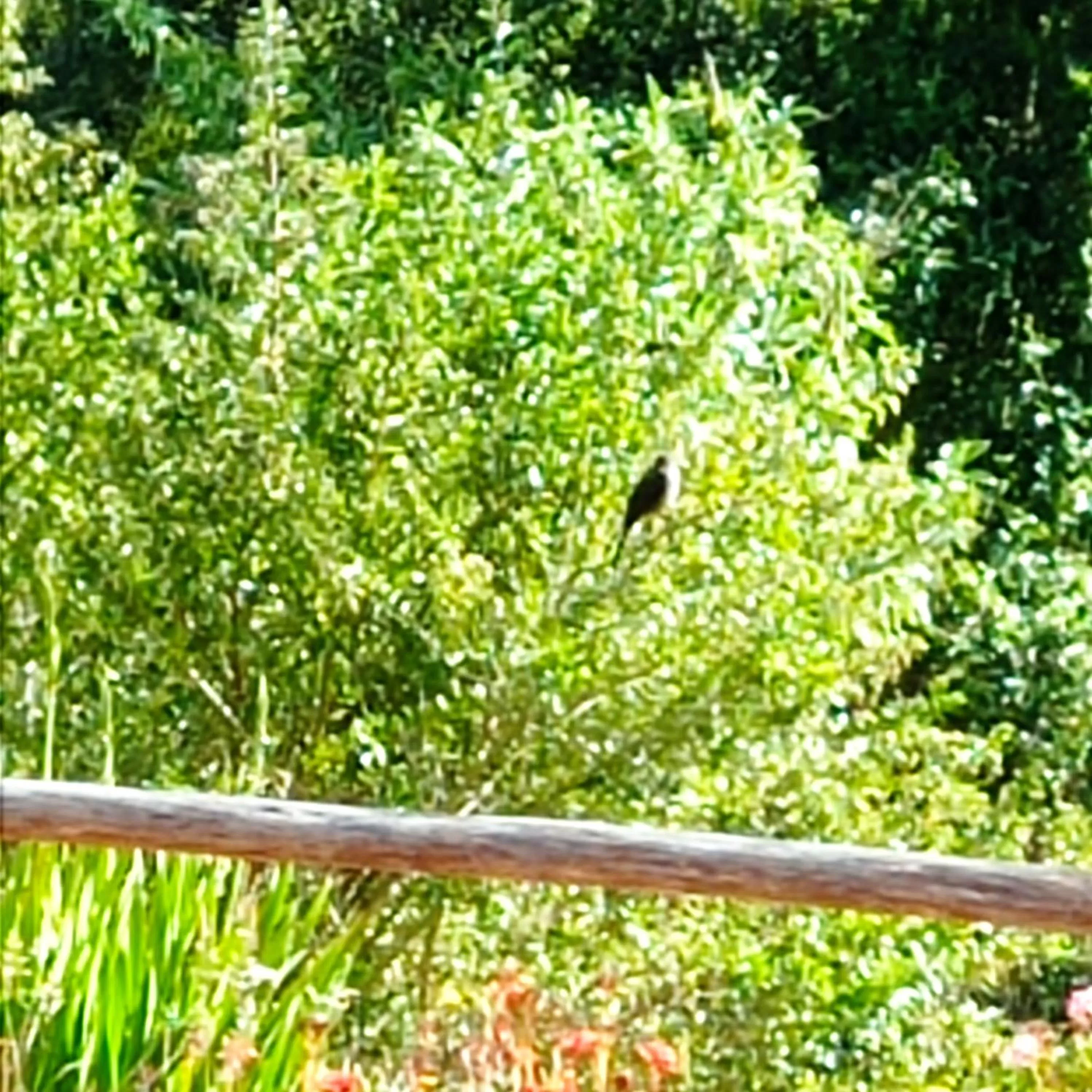 Hotel Refugio Pozo Azul