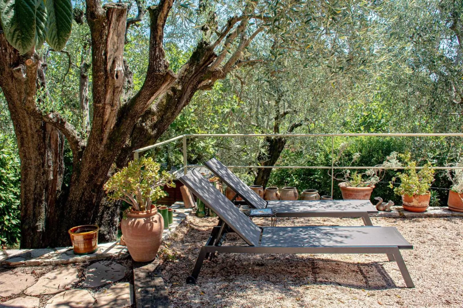 sunbed in Le Clos des Oliviers 188 chemin du Hameau des Bourges 06650 Le Rouret