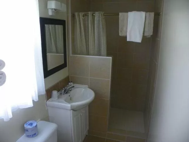 Bathroom in Lakeview Motel & Cottage