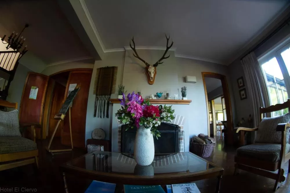 Seating Area in Hotel El Ciervo