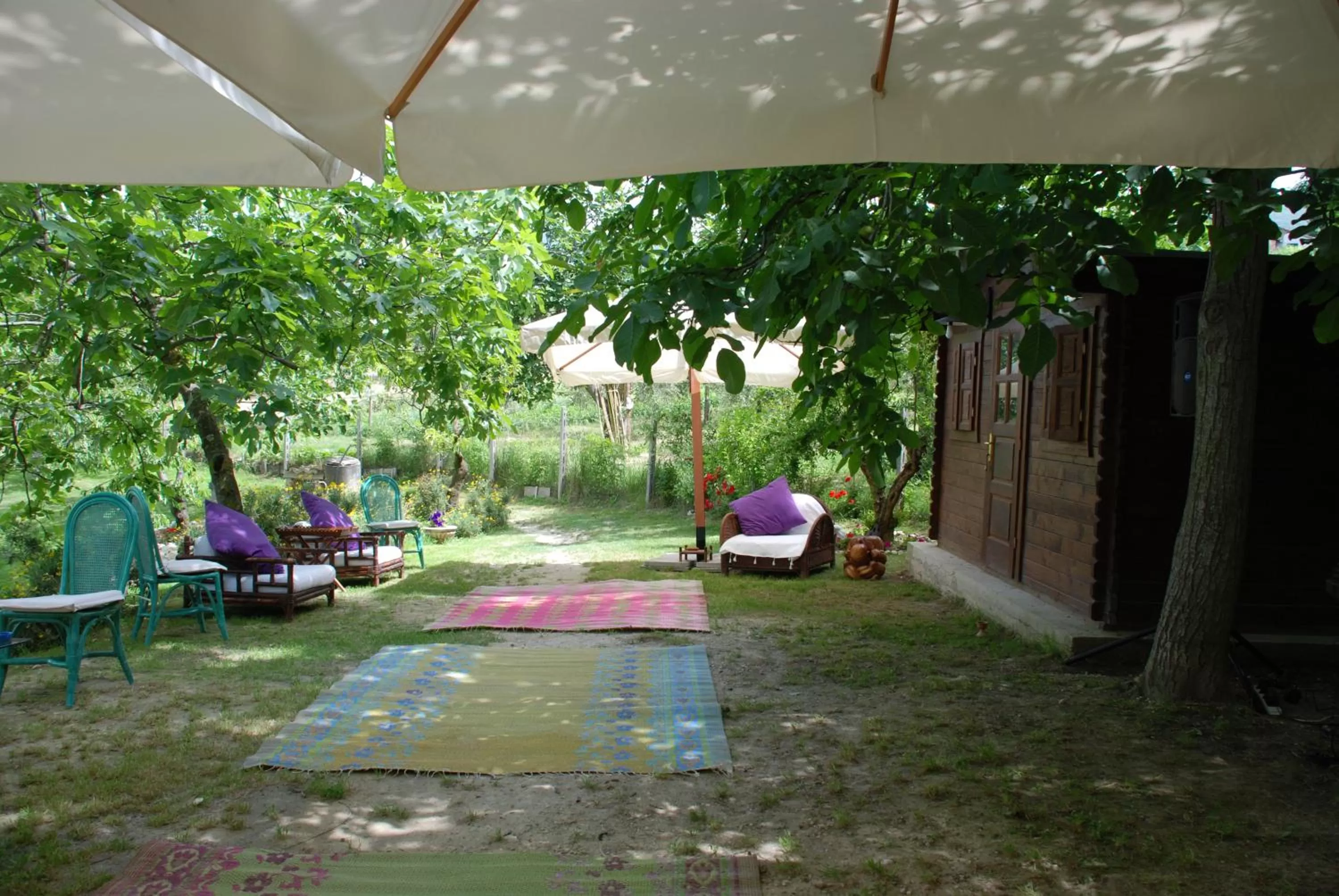 Garden in Casale Druida