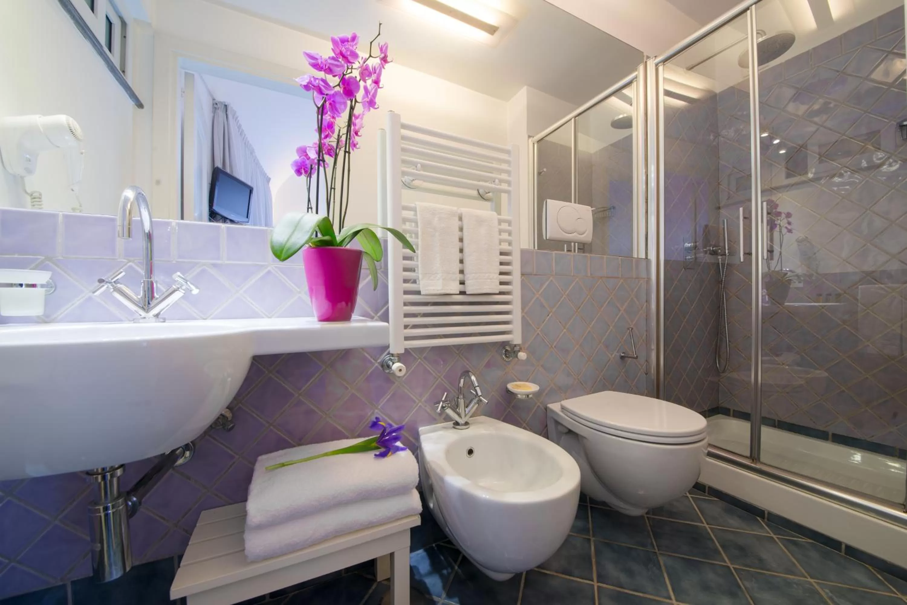 Shower in Residenza Pansa B&B