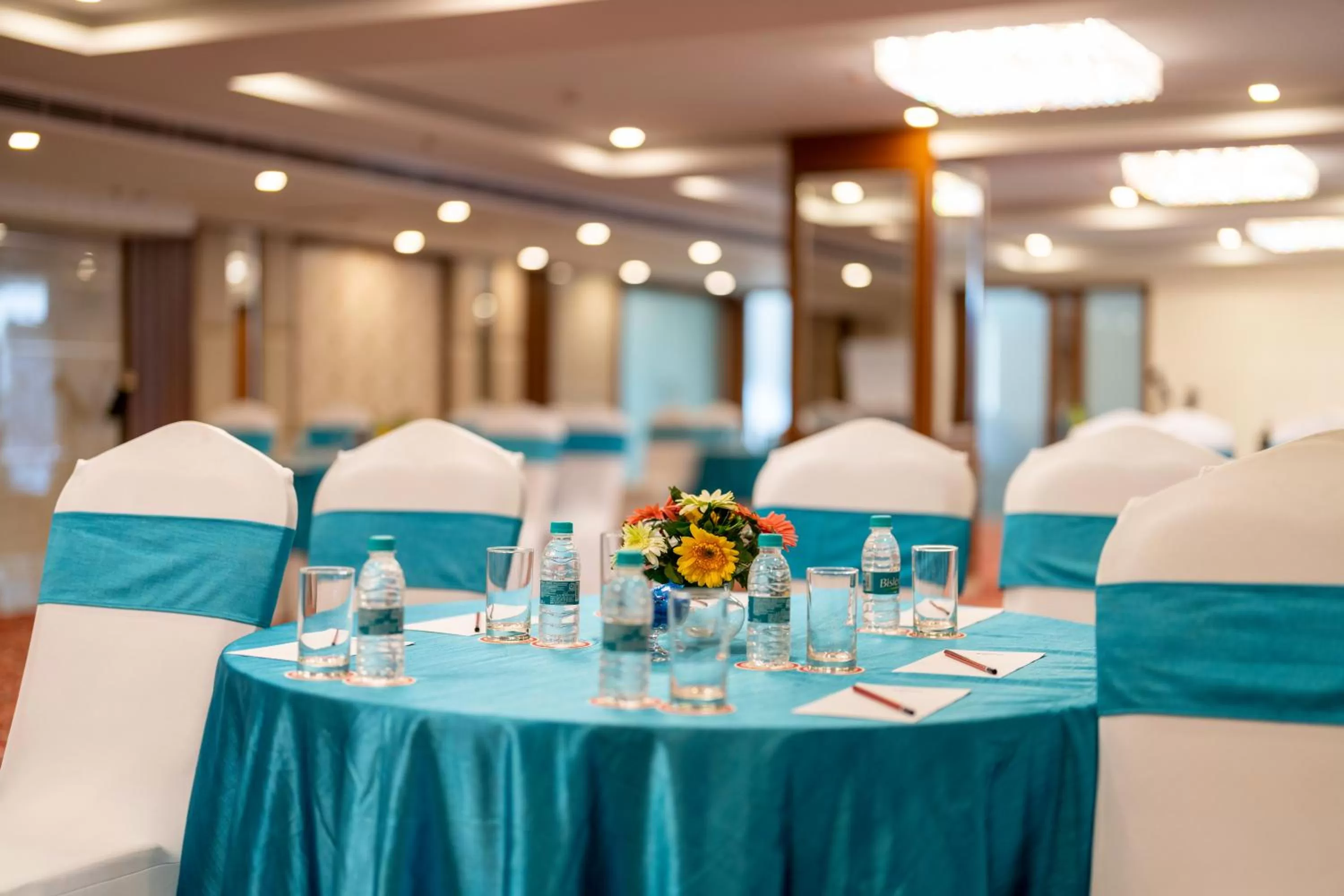 Banquet/Function facilities in Cygnett Inn Paras