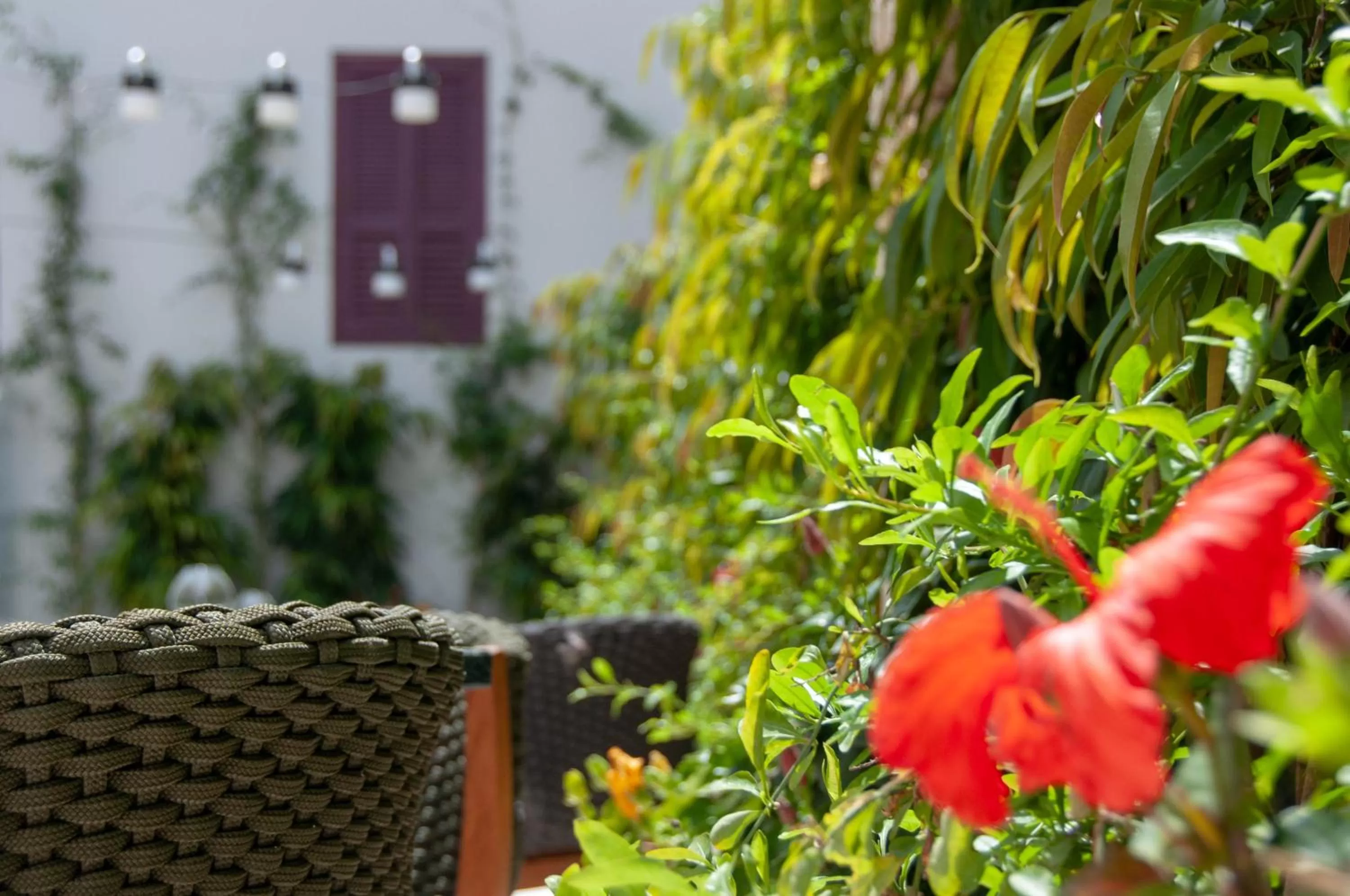 Garden in S Paul City Hotel