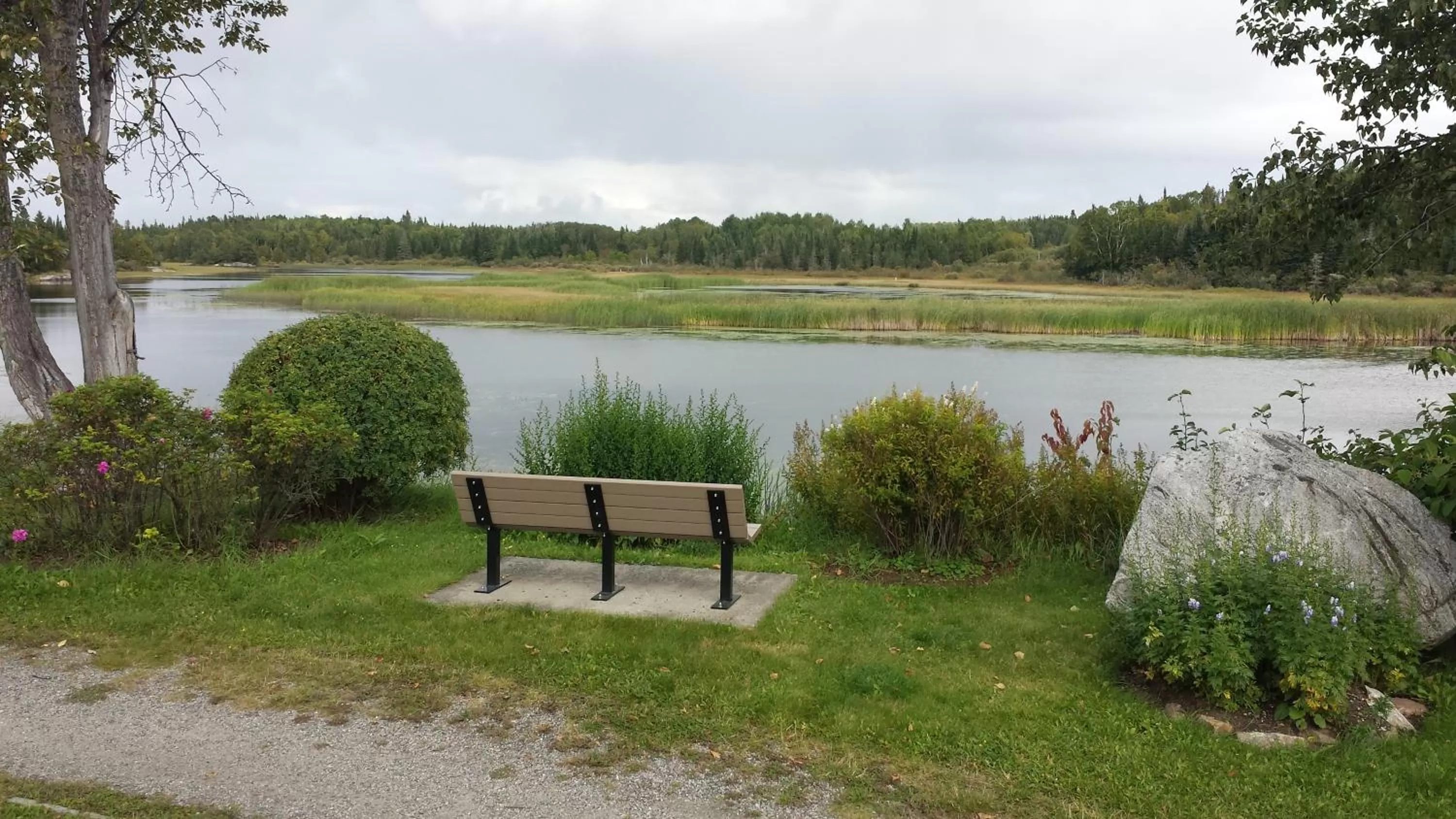 Fishing in Executive Suites