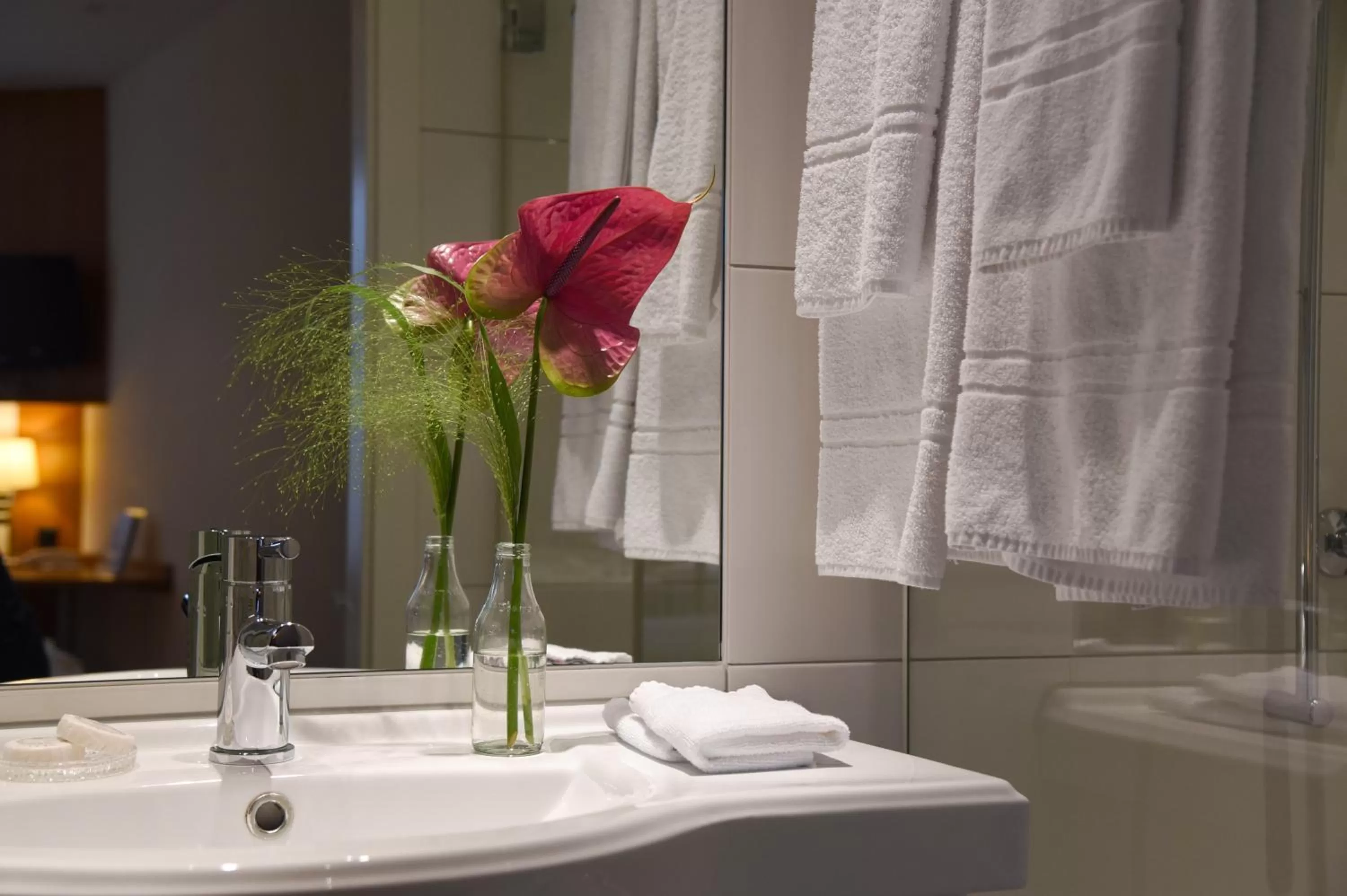 Photo of the whole room in Apart Hotel Amadeo