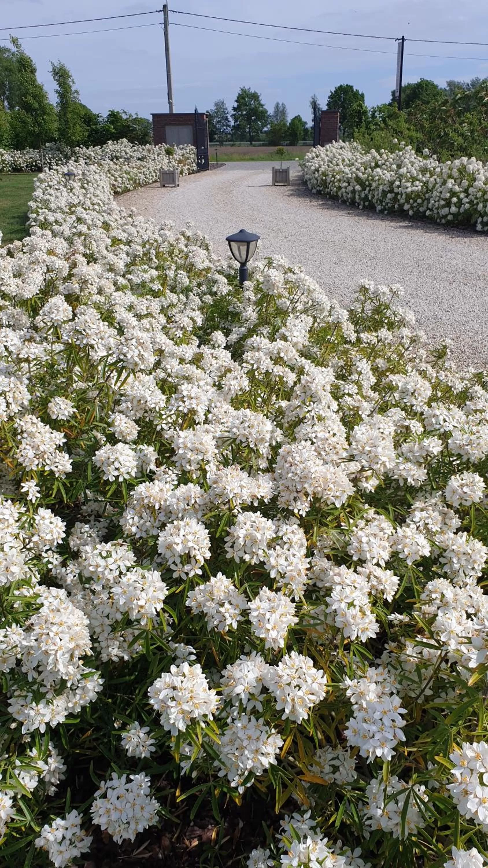 View (from property/room) in B&B 't Meesterhof
