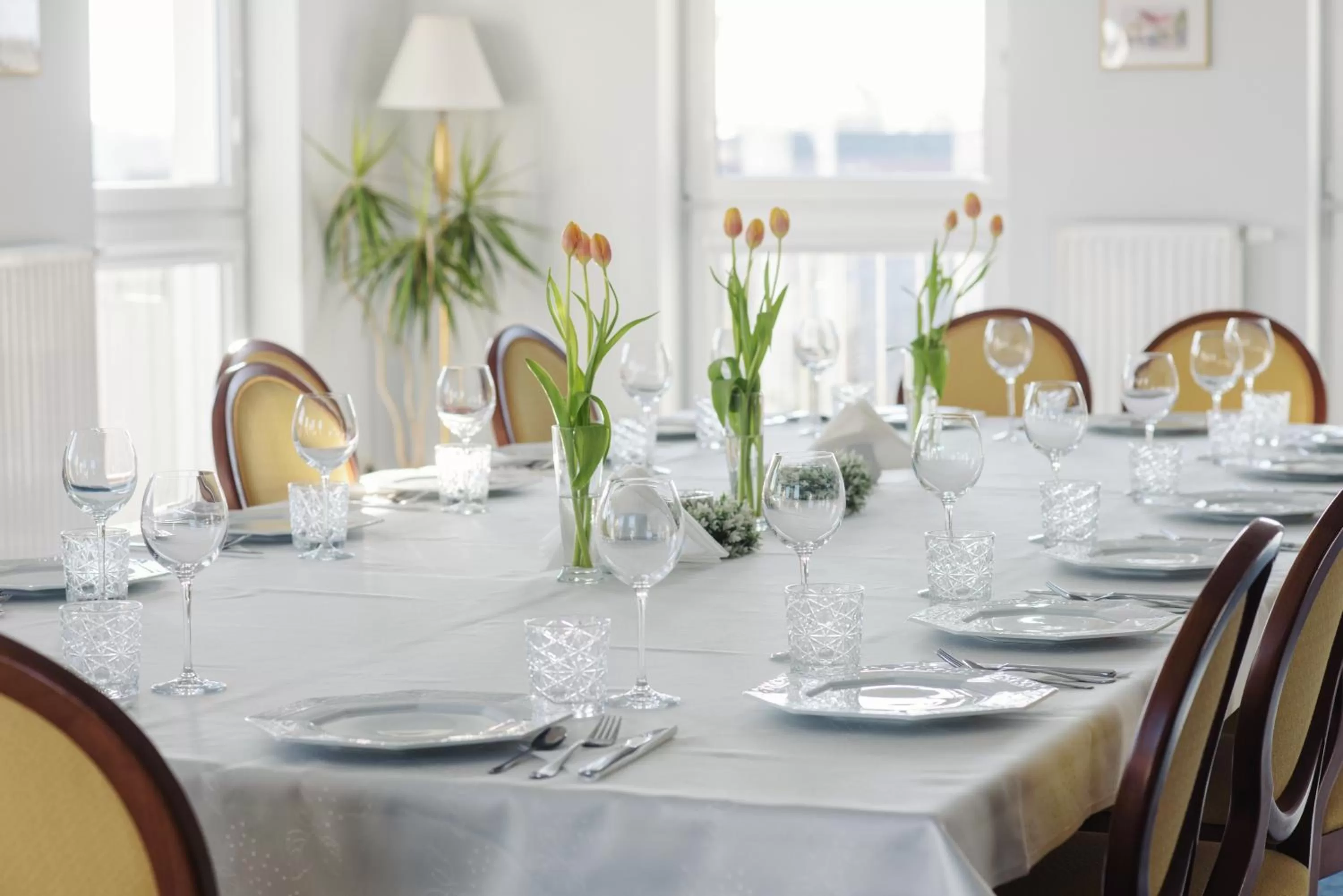 Meeting/conference room, Restaurant/Places to Eat in Lila Medical SPA