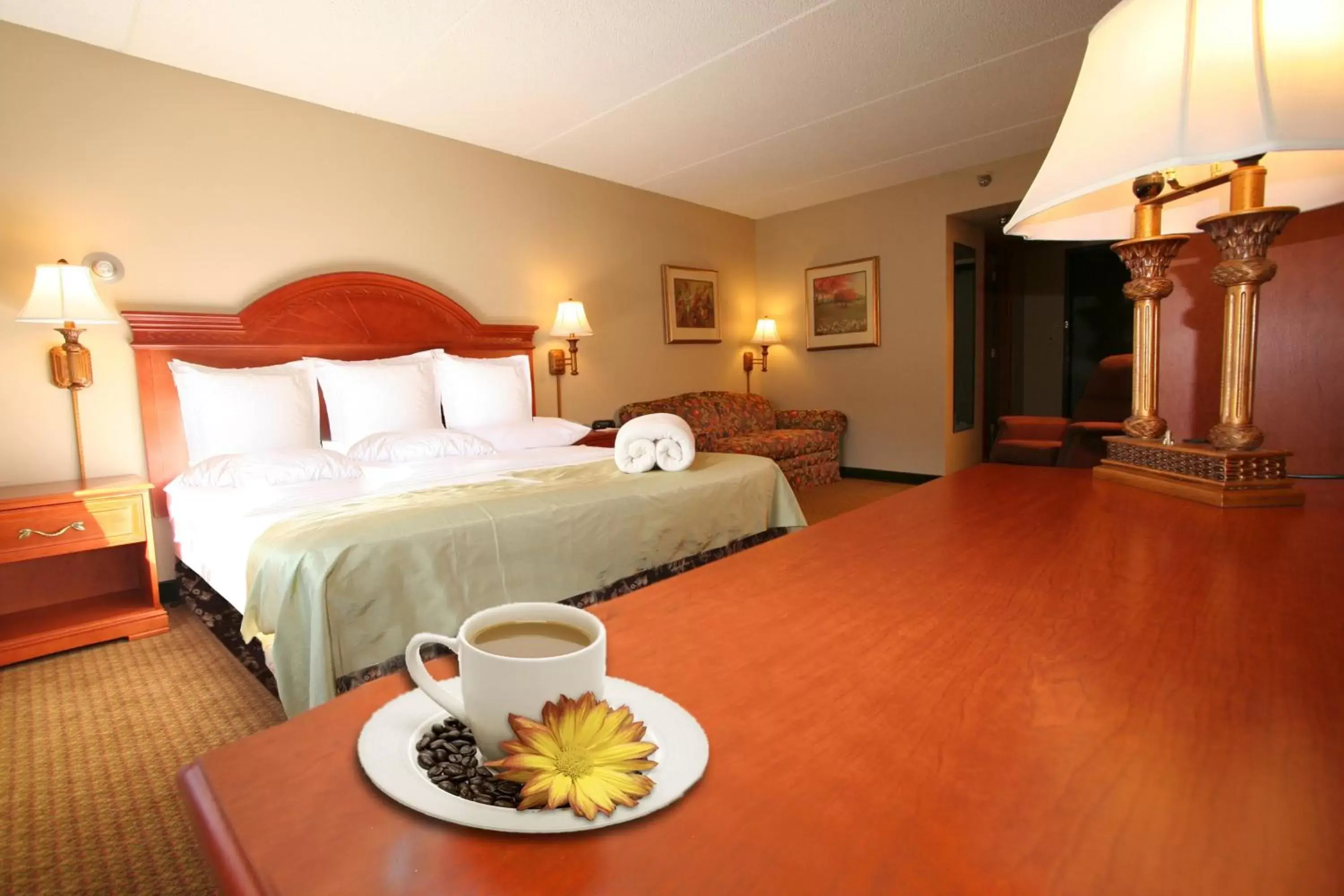 King Room with Sofa Bed - Non-Smoking in Centerstone Plaza Hotel Soldiers Field - Mayo Clinic Area King Room with Sofa Bed - Non-Smoking in Centerstone Plaza Hotel Soldiers Field - Mayo Clinic Area