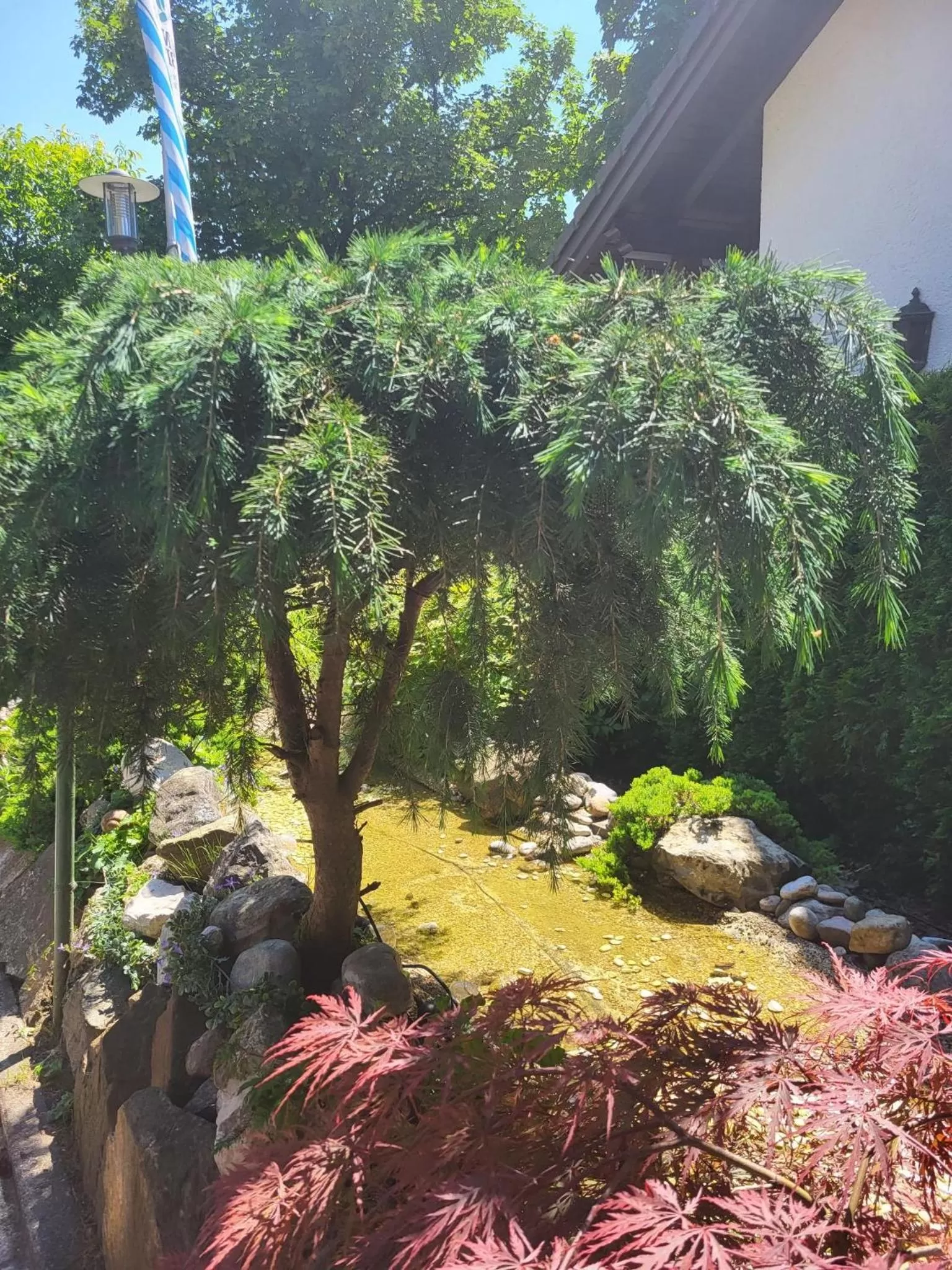 Garden in Gasthaus Staufenbrücke