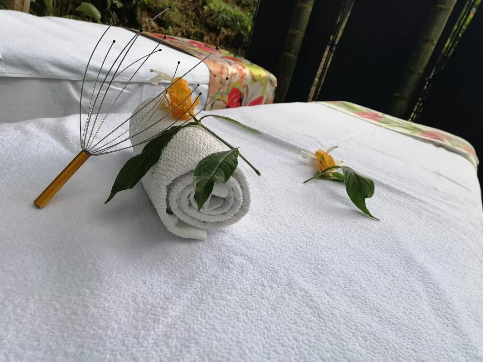 Spa and wellness centre/facilities, Bed in Hotel campestre La Floresta